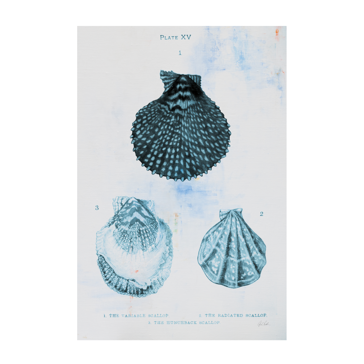 wall-art-print-canvas-poster-framed-Blue Bay, Style A & B, Set Of 2 , By Deborah Revell-8