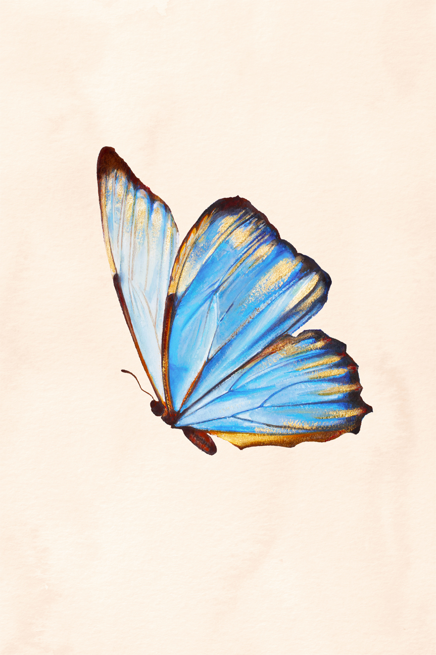 wall-art-print-canvas-poster-framed-Blue Butterfly , By Julia Ockert-GIOIA-WALL-ART