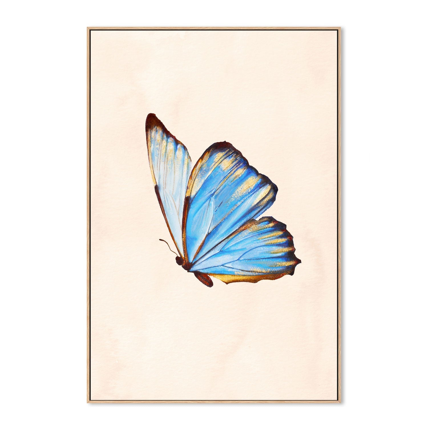 wall-art-print-canvas-poster-framed-Blue Butterfly , By Julia Ockert-GIOIA-WALL-ART