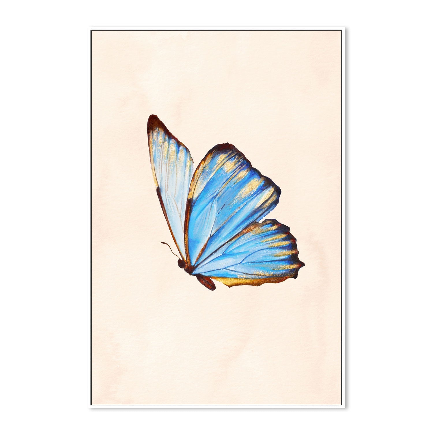 wall-art-print-canvas-poster-framed-Blue Butterfly , By Julia Ockert-GIOIA-WALL-ART