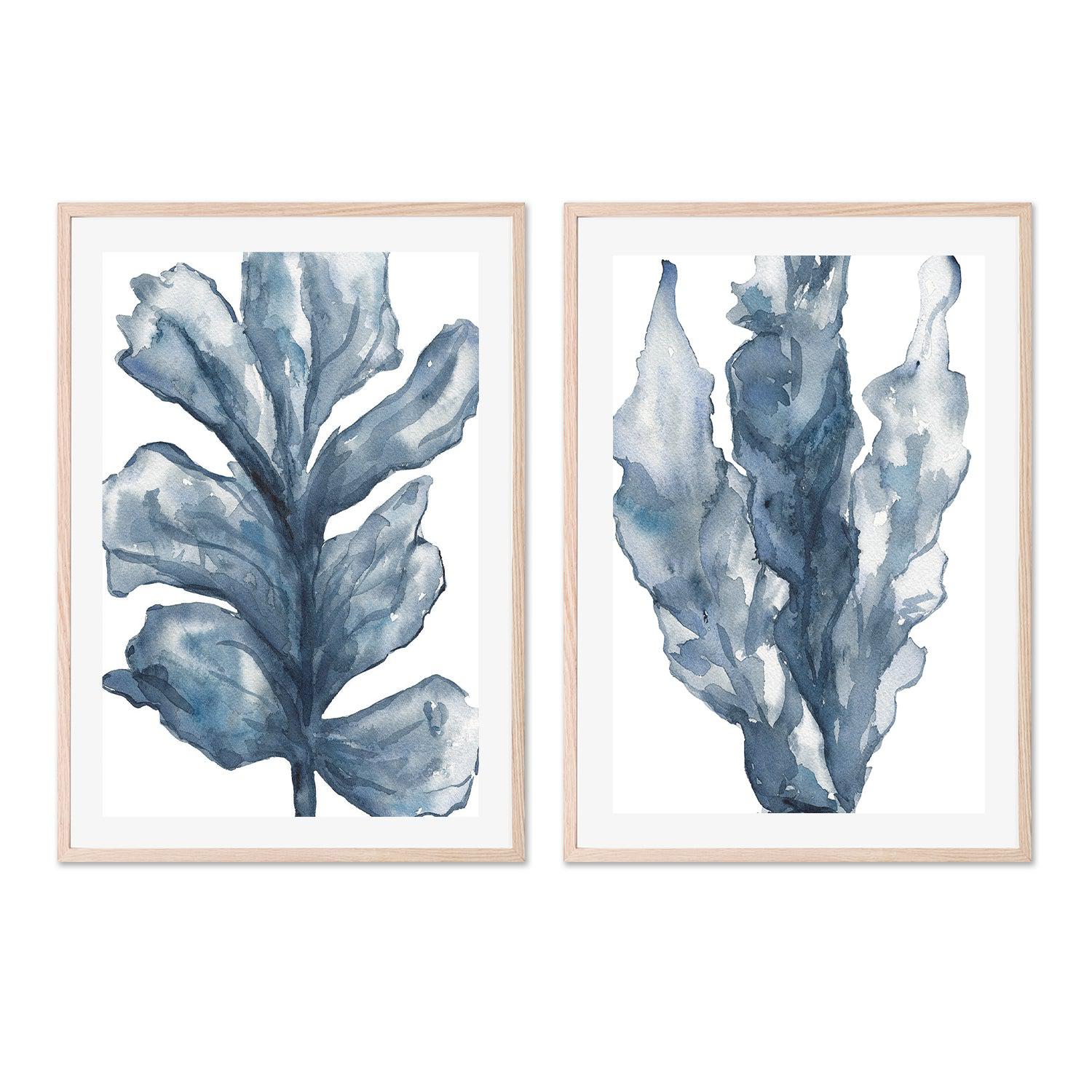 Blue Coral, Set of 2