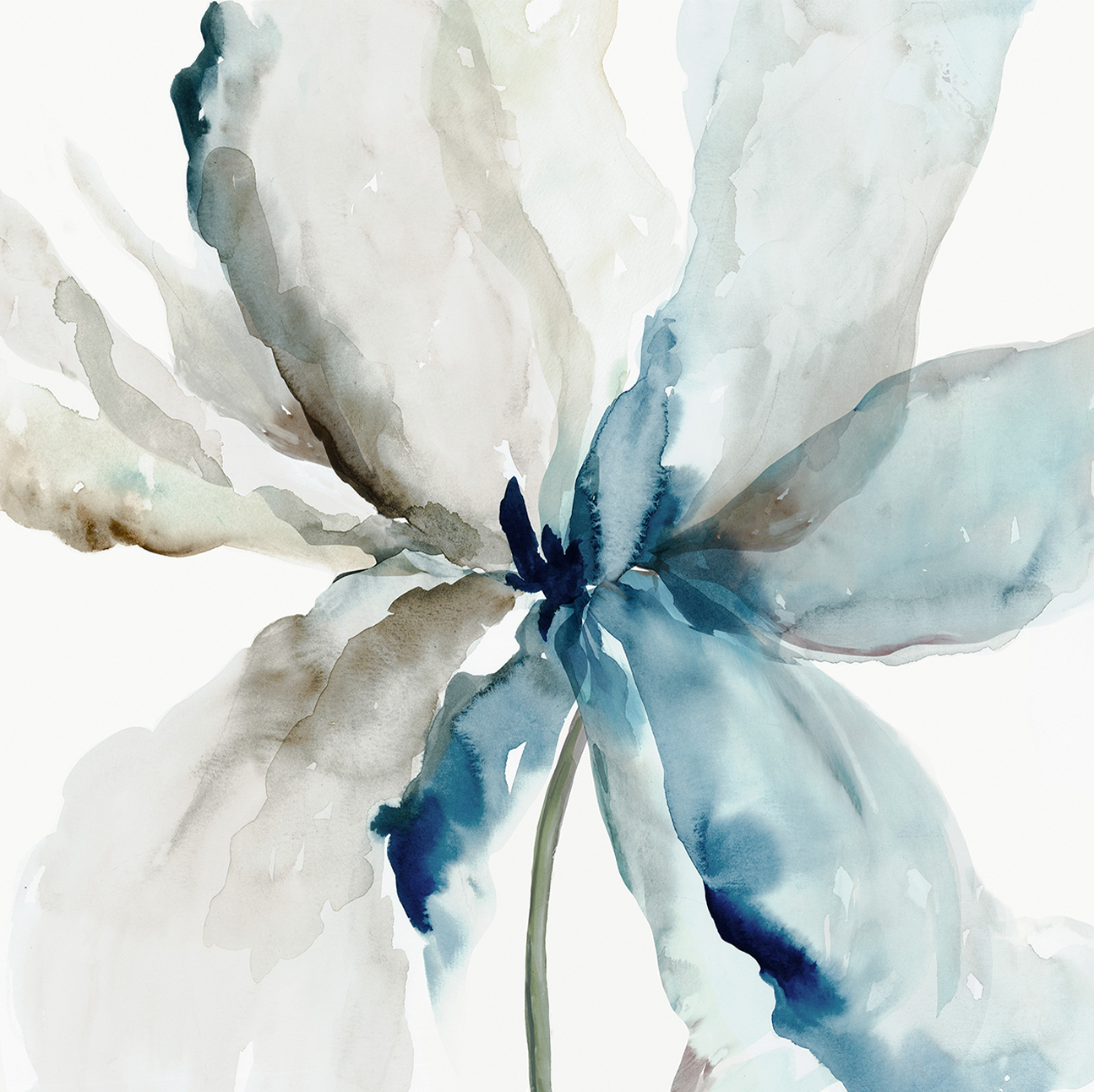 wall-art-print-canvas-poster-framed-Blue Transparent Flower , By Asia Jensen-1