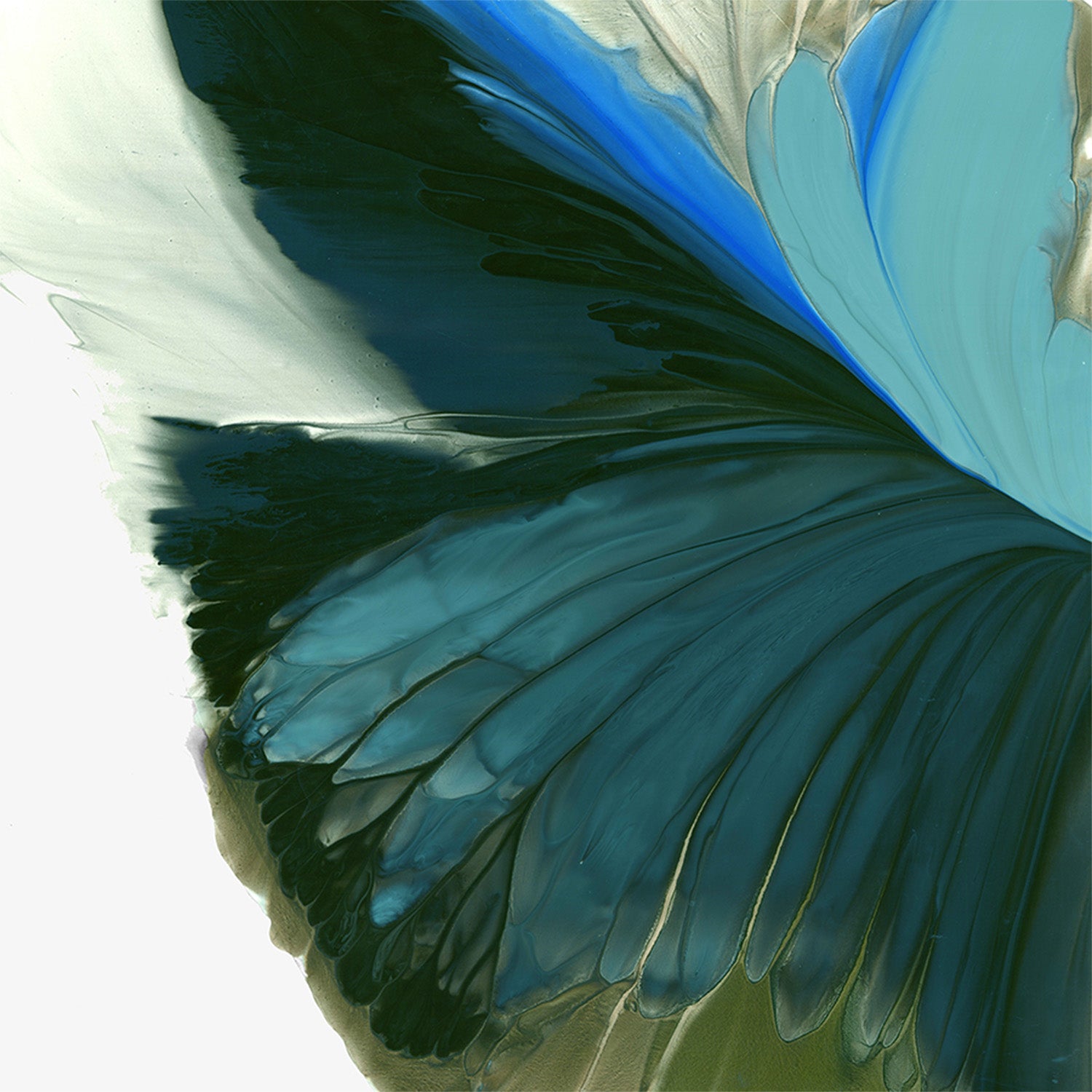 wall-art-print-canvas-poster-framed-Blue Wings Unfolding in Light-1