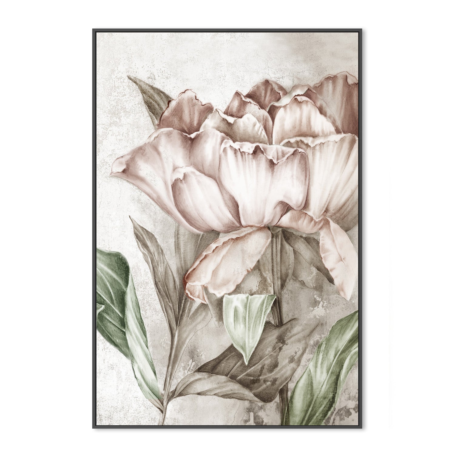 wall-art-print-canvas-poster-framed-Blush Botanical , By Eva Watts-3