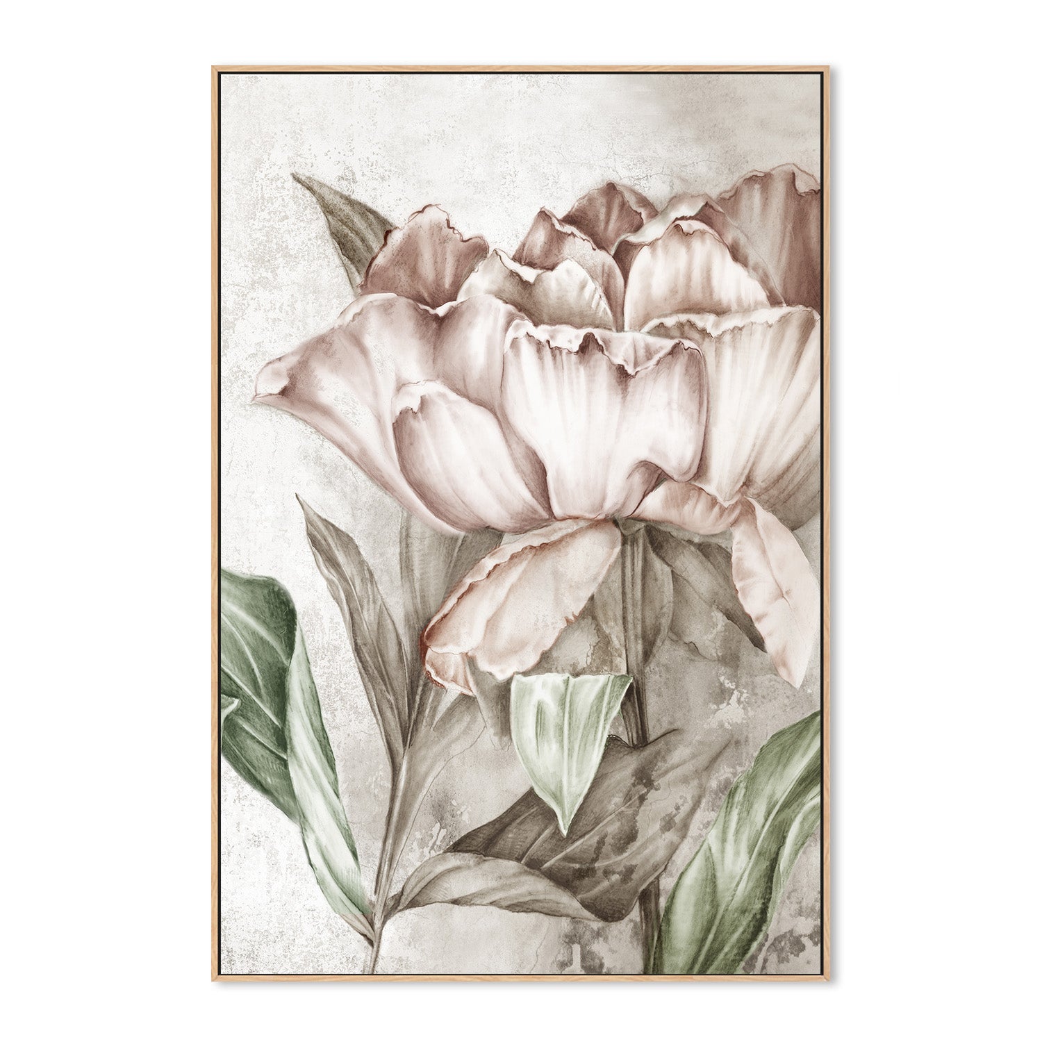 wall-art-print-canvas-poster-framed-Blush Botanical , By Eva Watts-4