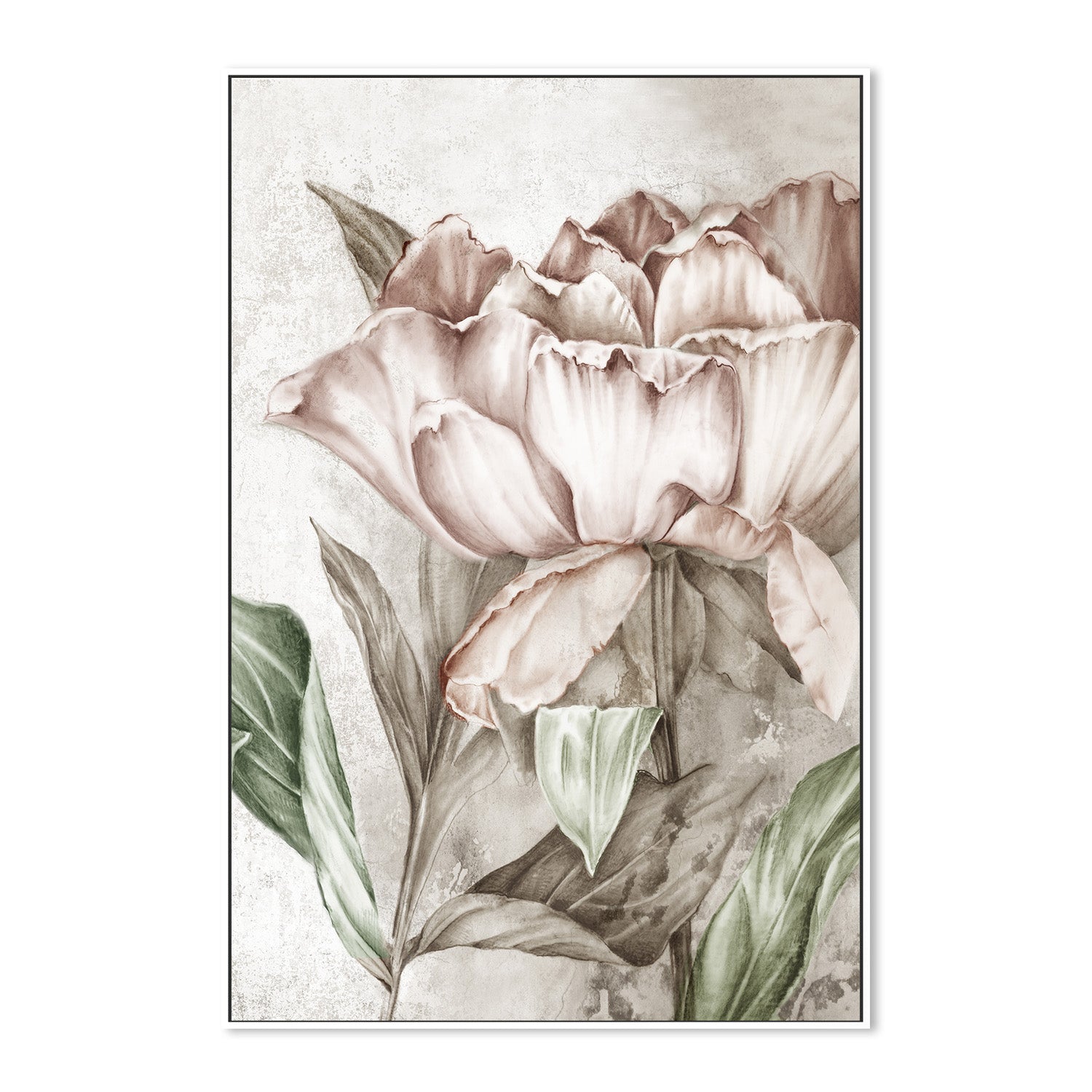 wall-art-print-canvas-poster-framed-Blush Botanical , By Eva Watts-5