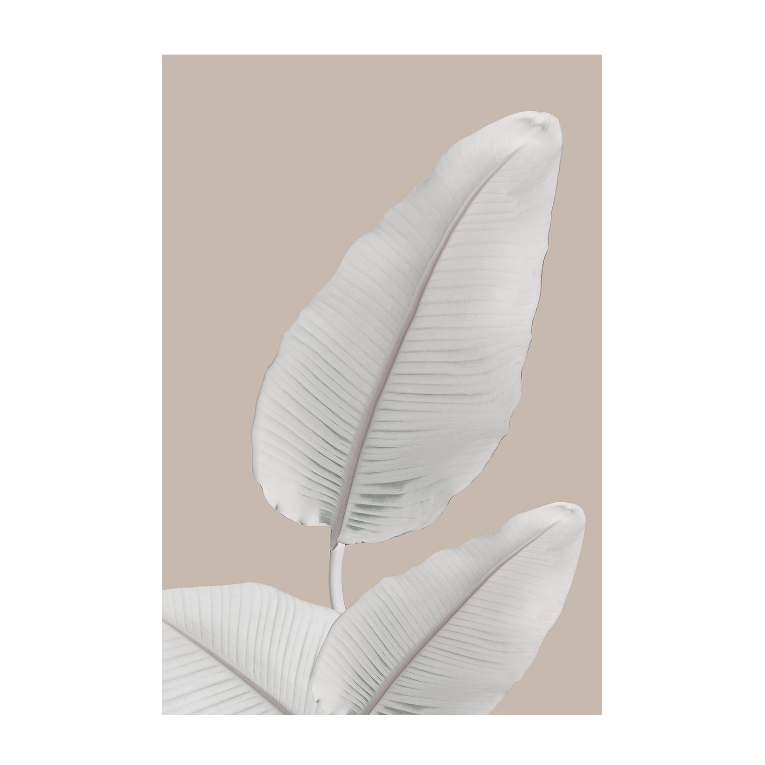 wall-art-print-canvas-poster-framed-Blush Paradise, Style A & B, Set Of 2 , By Danny Singh-8