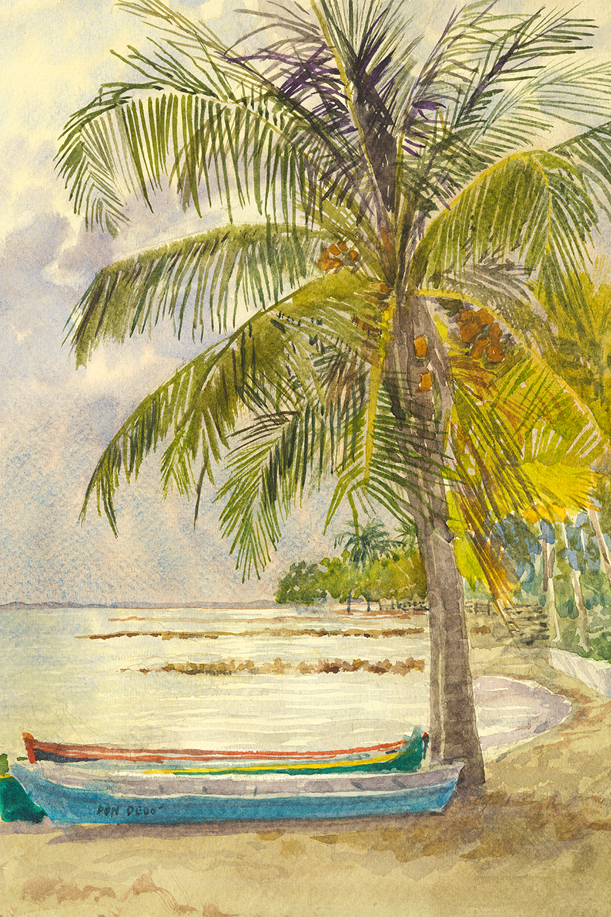 wall-art-print-canvas-poster-framed-Boats and Coconuts , By David Dallison-1