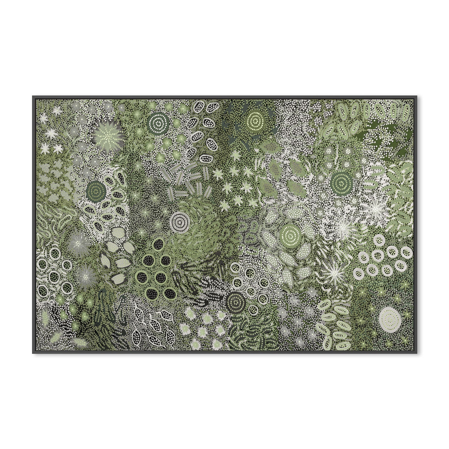 wall-art-print-canvas-poster-framed-Body Painting Ceremony, Green Tones , By Michelle Possum Nungurrayi-3