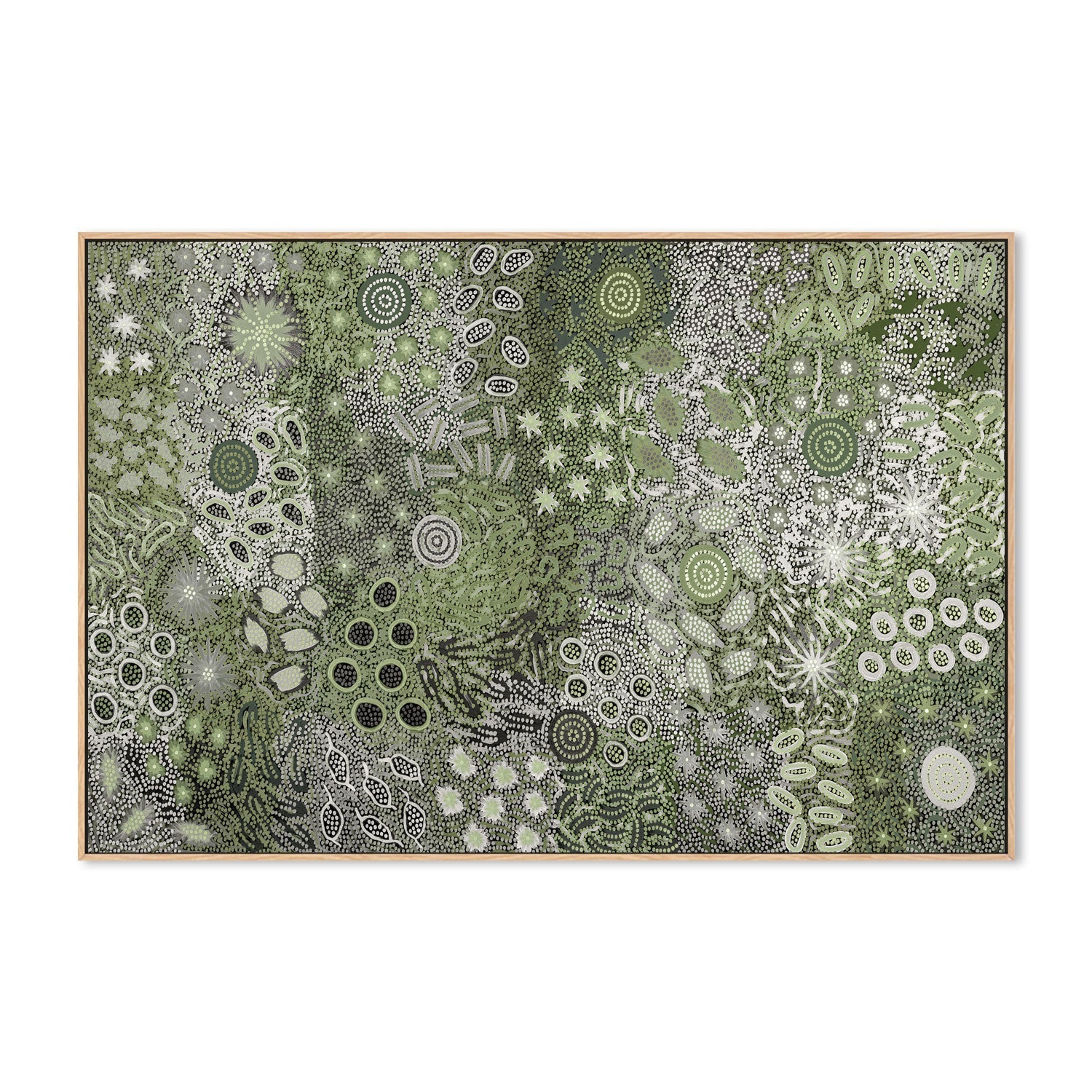 wall-art-print-canvas-poster-framed-Body Painting Ceremony, Green Tones , By Michelle Possum Nungurrayi-4