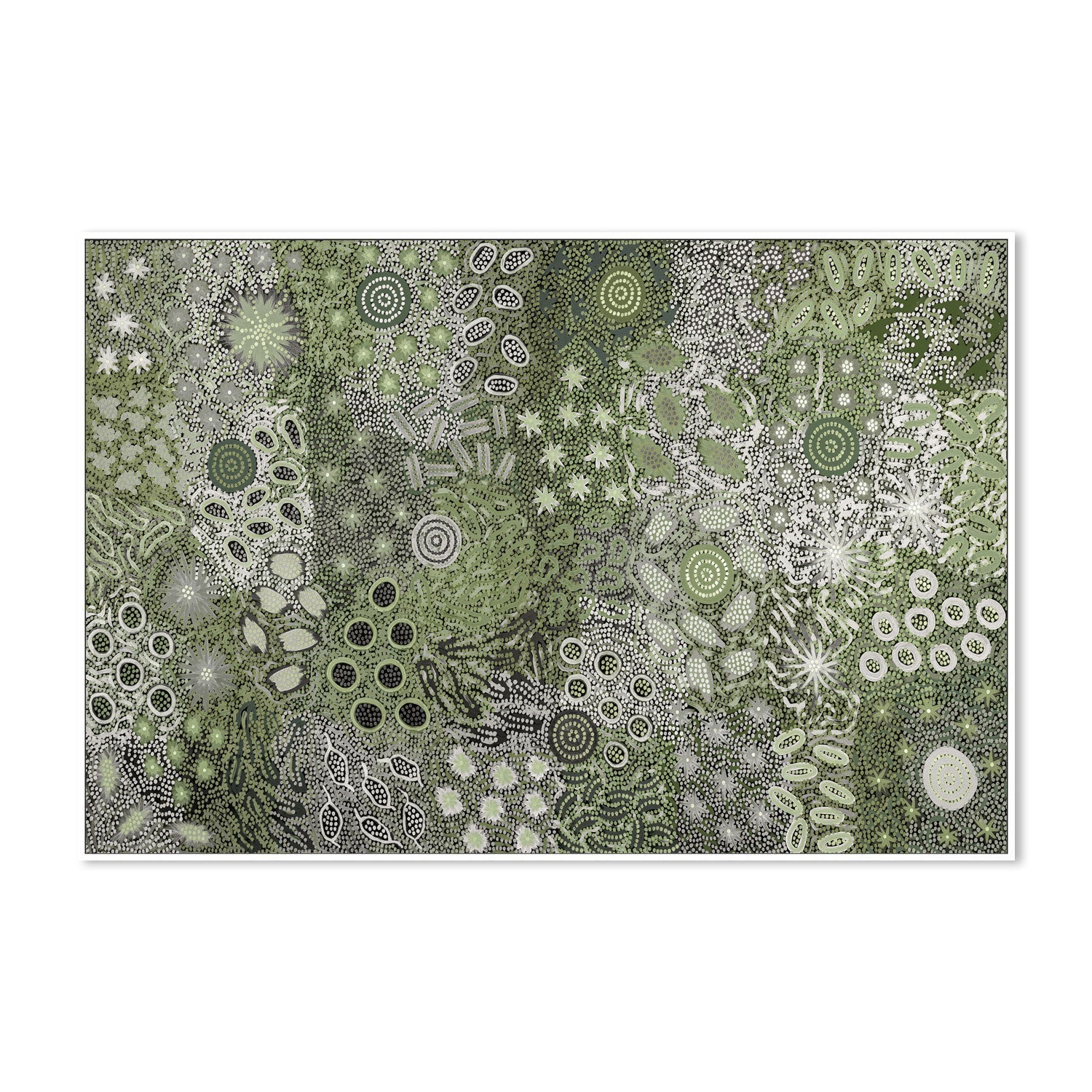 wall-art-print-canvas-poster-framed-Body Painting Ceremony, Green Tones , By Michelle Possum Nungurrayi-5