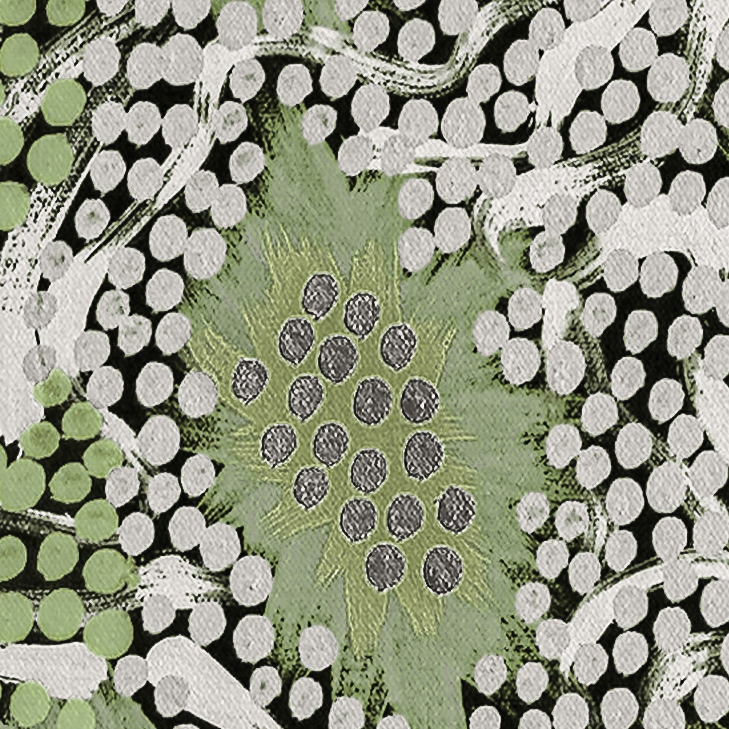 wall-art-print-canvas-poster-framed-Body Painting Ceremony, Green Tones , By Michelle Possum Nungurrayi-9