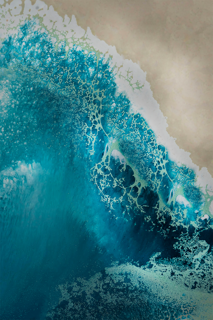 wall-art-print-canvas-poster-framed-Bondi Beach, Style A , By Petra Meikle-1