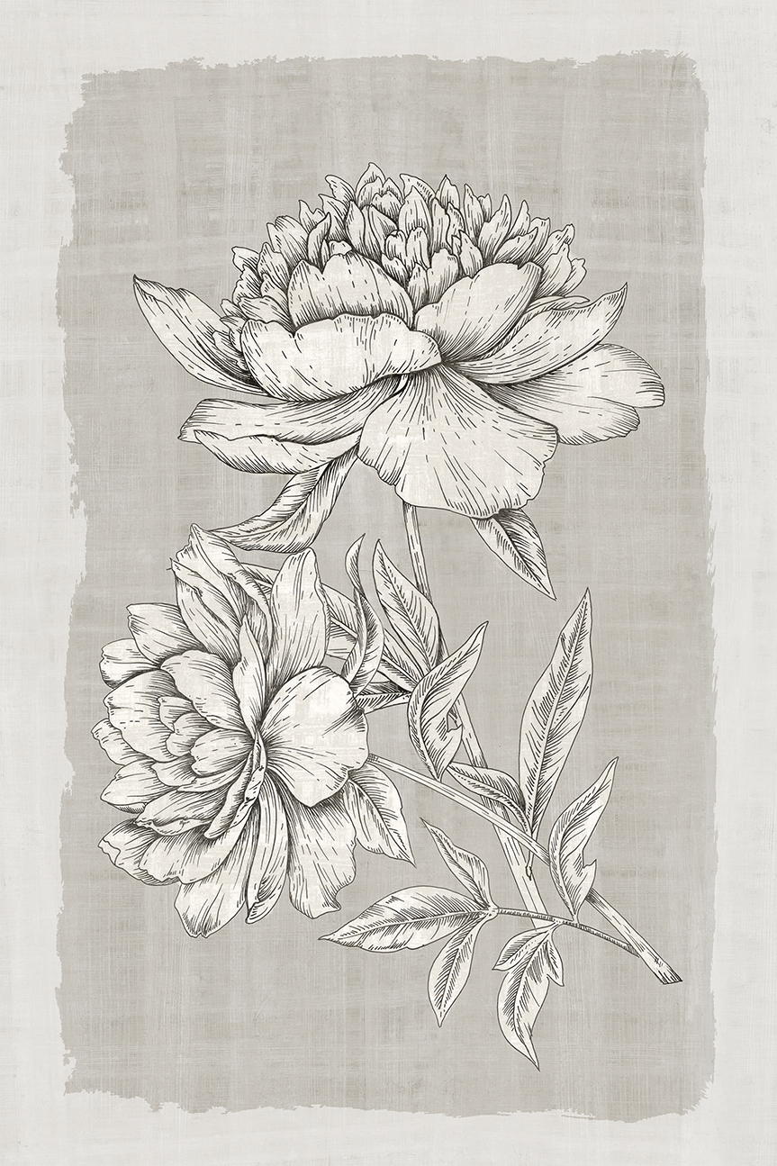 wall-art-print-canvas-poster-framed-Botanical Linen, Style A , By Eva Watts-1