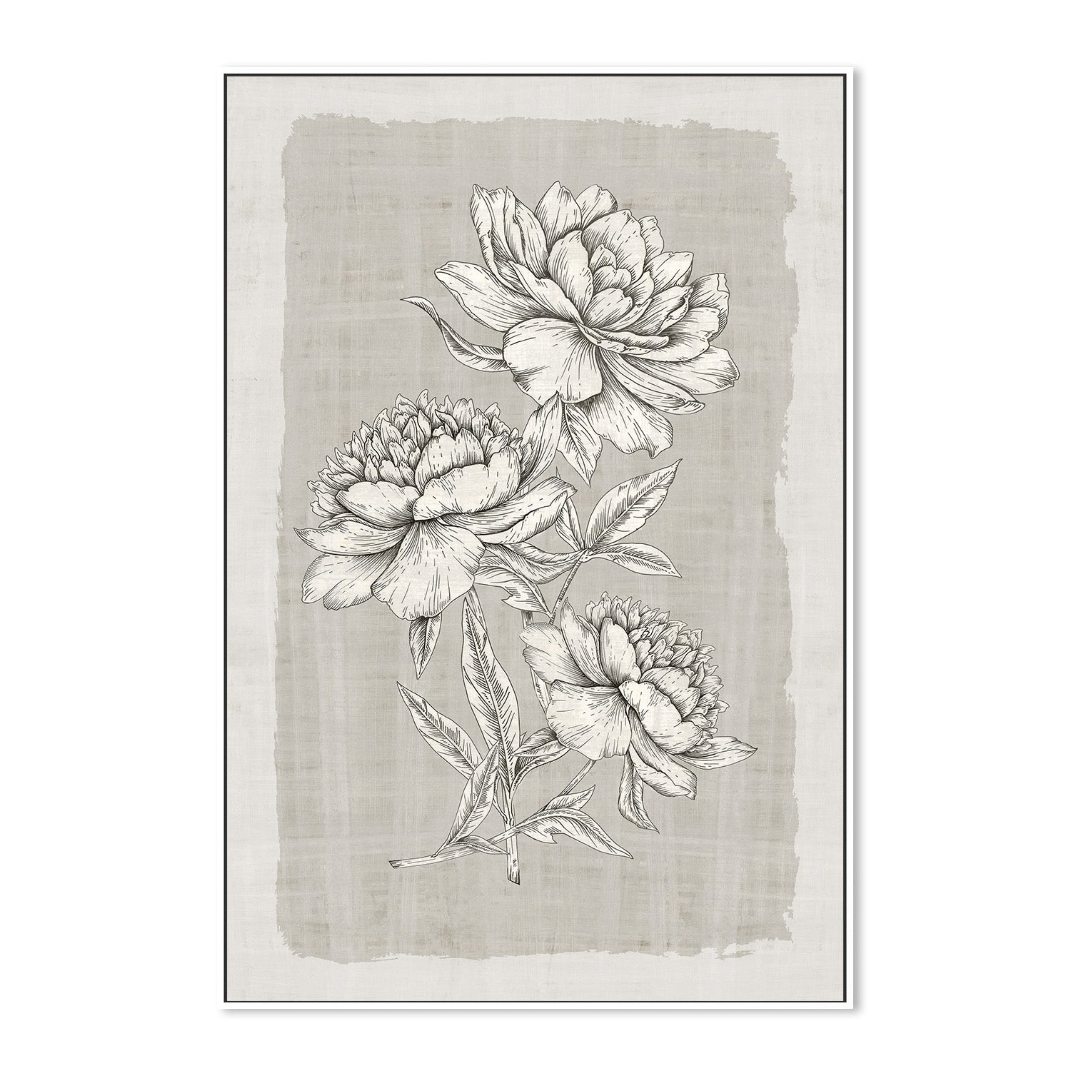 wall-art-print-canvas-poster-framed-Botanical Linen, Style B , By Eva Watts-5