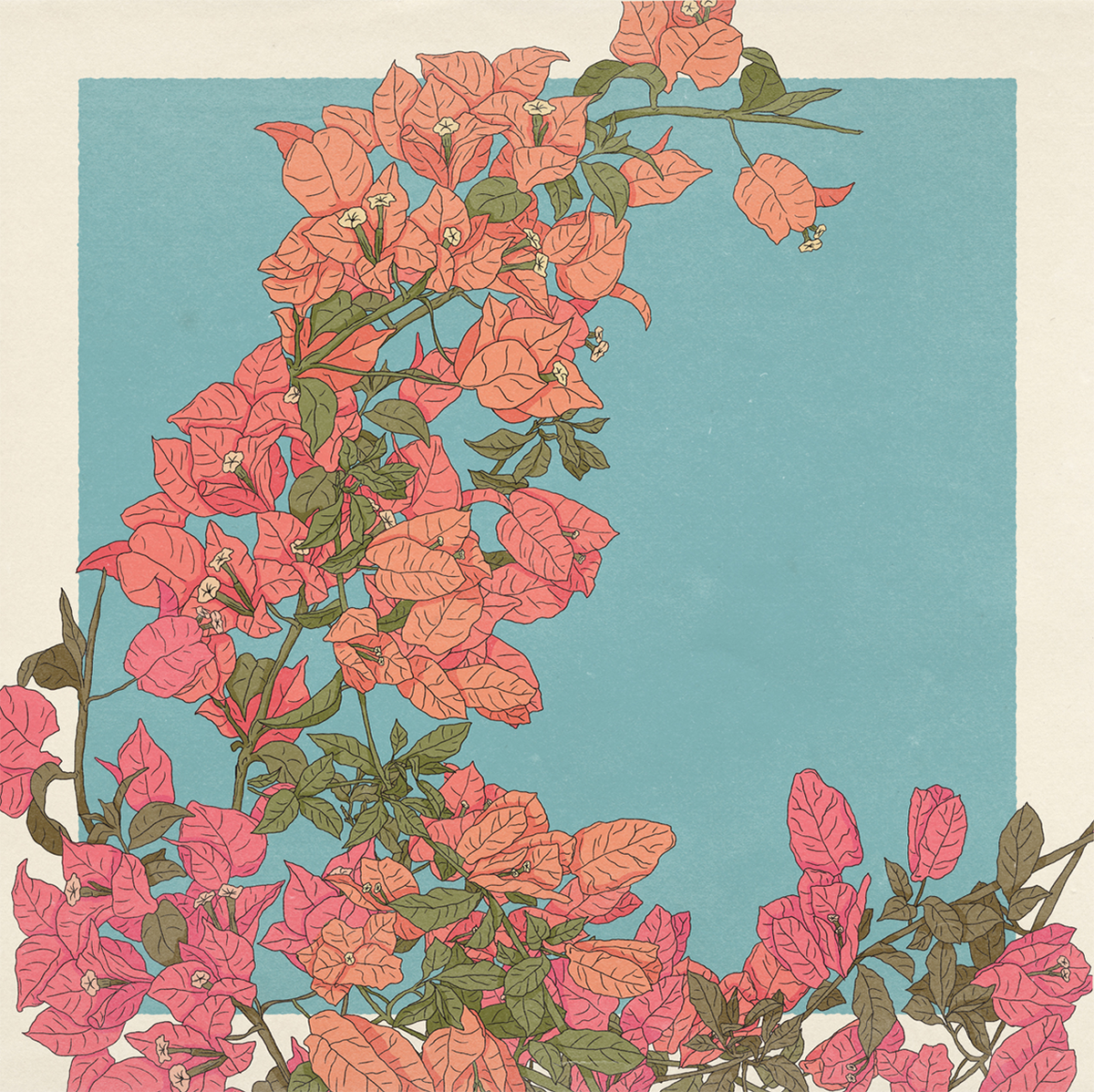 wall-art-print-canvas-poster-framed-Bougainvillea , By Cai & Jo-1