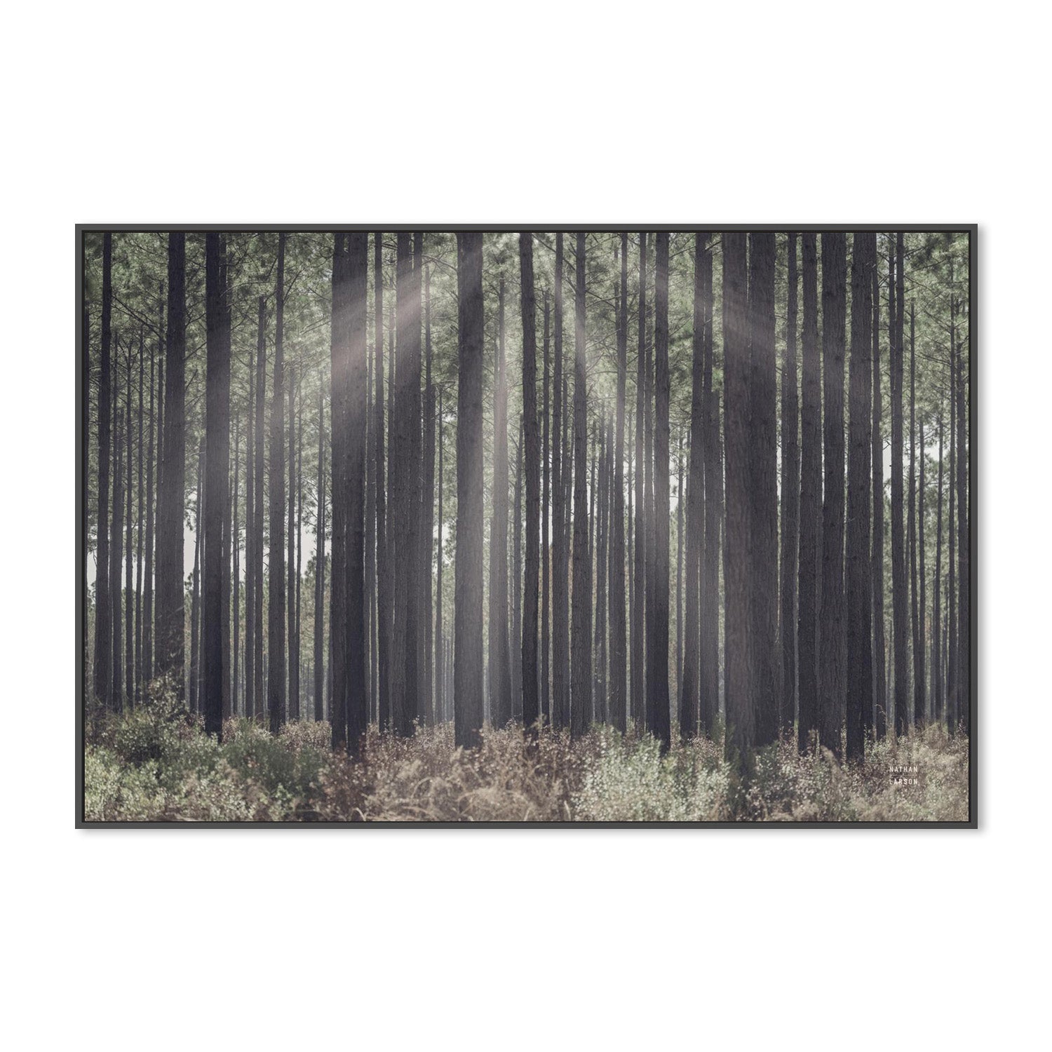 wall-art-print-canvas-poster-framed-Bring Me In-3