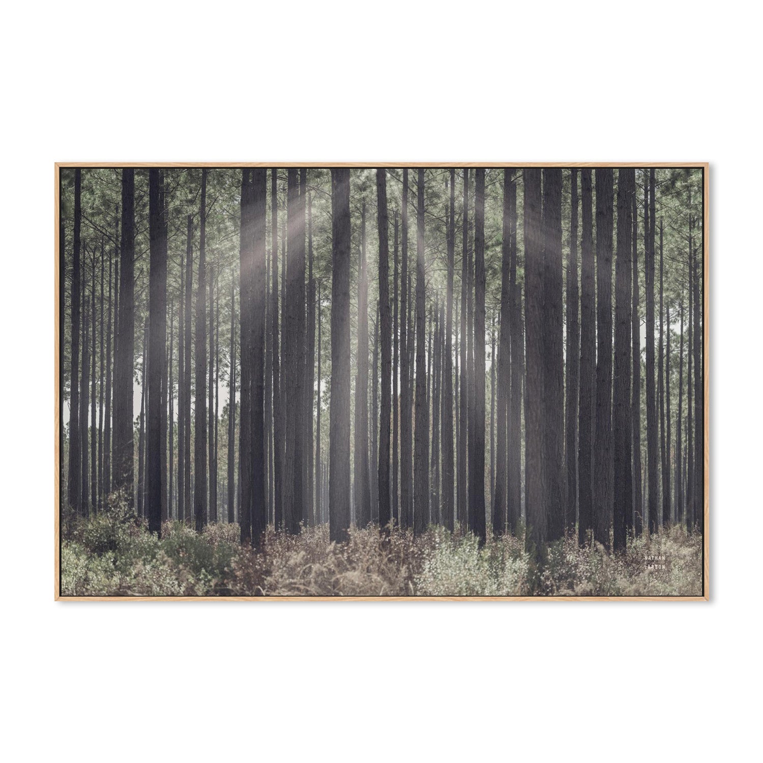 wall-art-print-canvas-poster-framed-Bring Me In-4