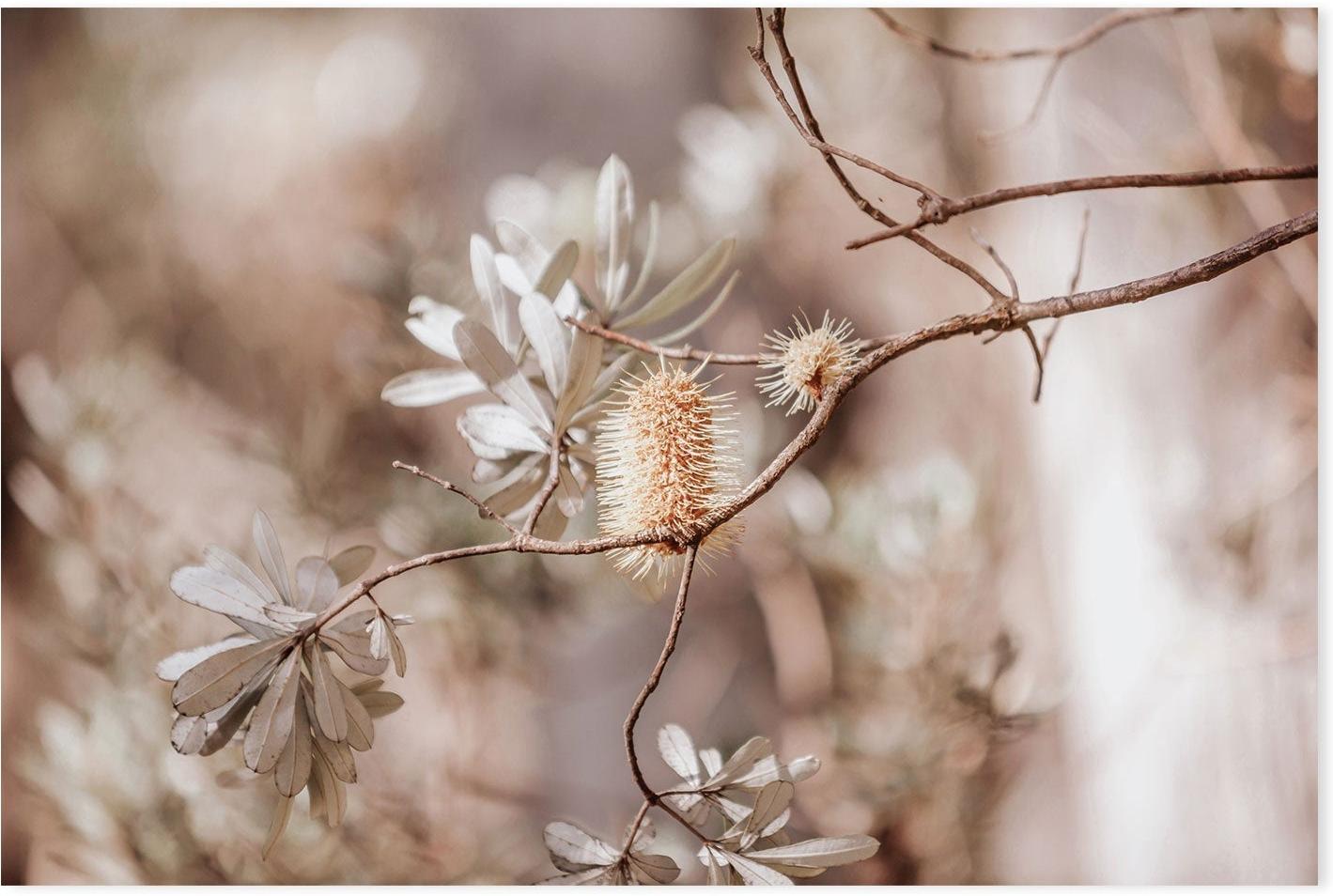 wall-art-print-canvas-poster-framed-Brown Bohemian Native Plants-GIOIA-WALL-ART