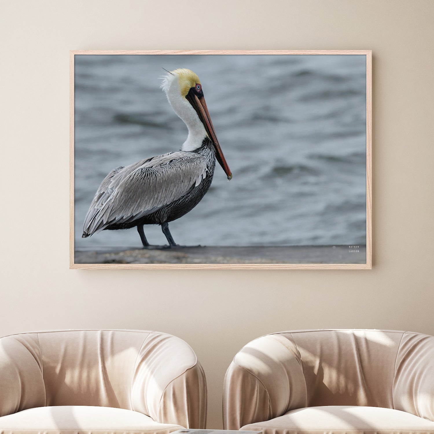 wall-art-print-canvas-poster-framed-Brown Pelican-7