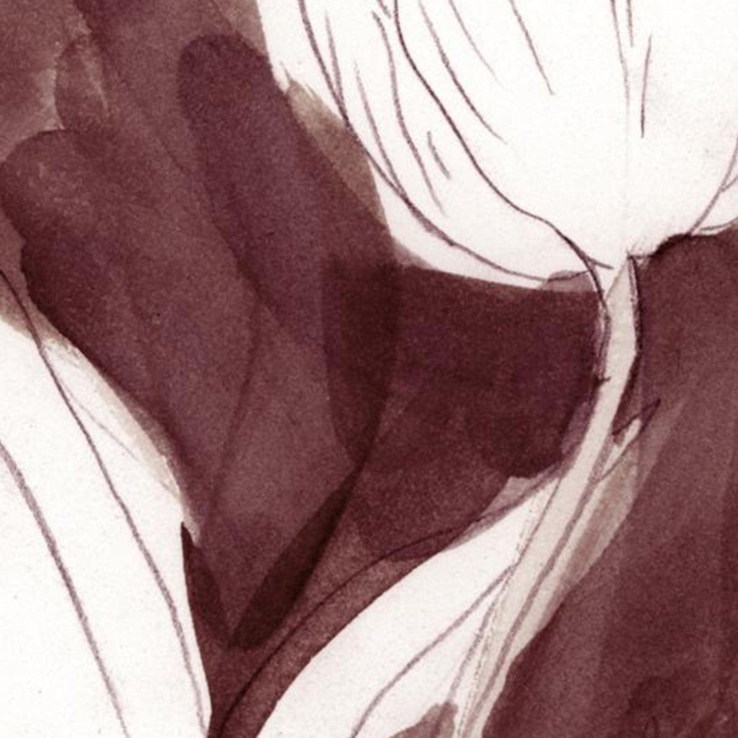 wall-art-print-canvas-poster-framed-Burgundy Tulip Sketch, Style A-10