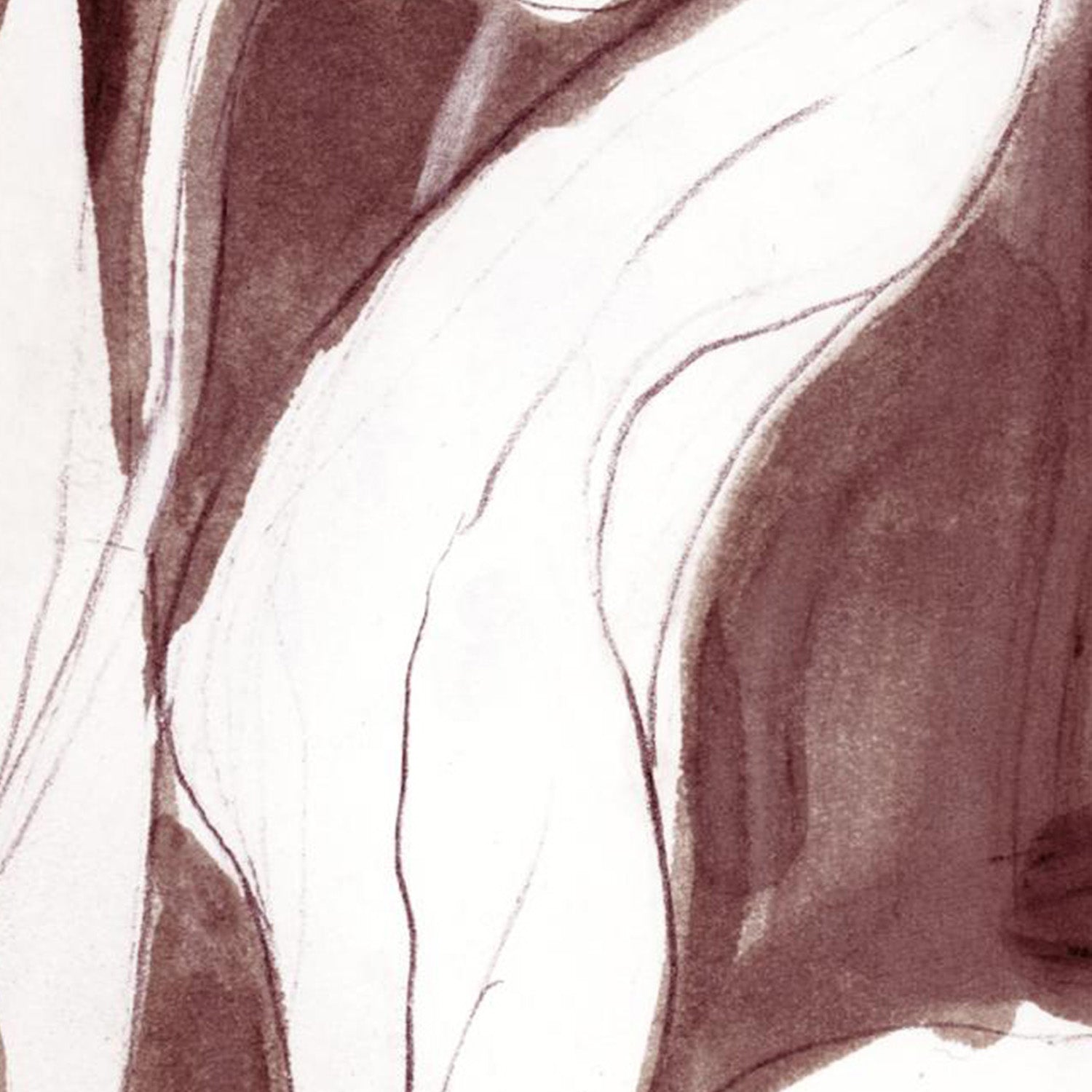 wall-art-print-canvas-poster-framed-Burgundy Tulip Sketch , Style B-11