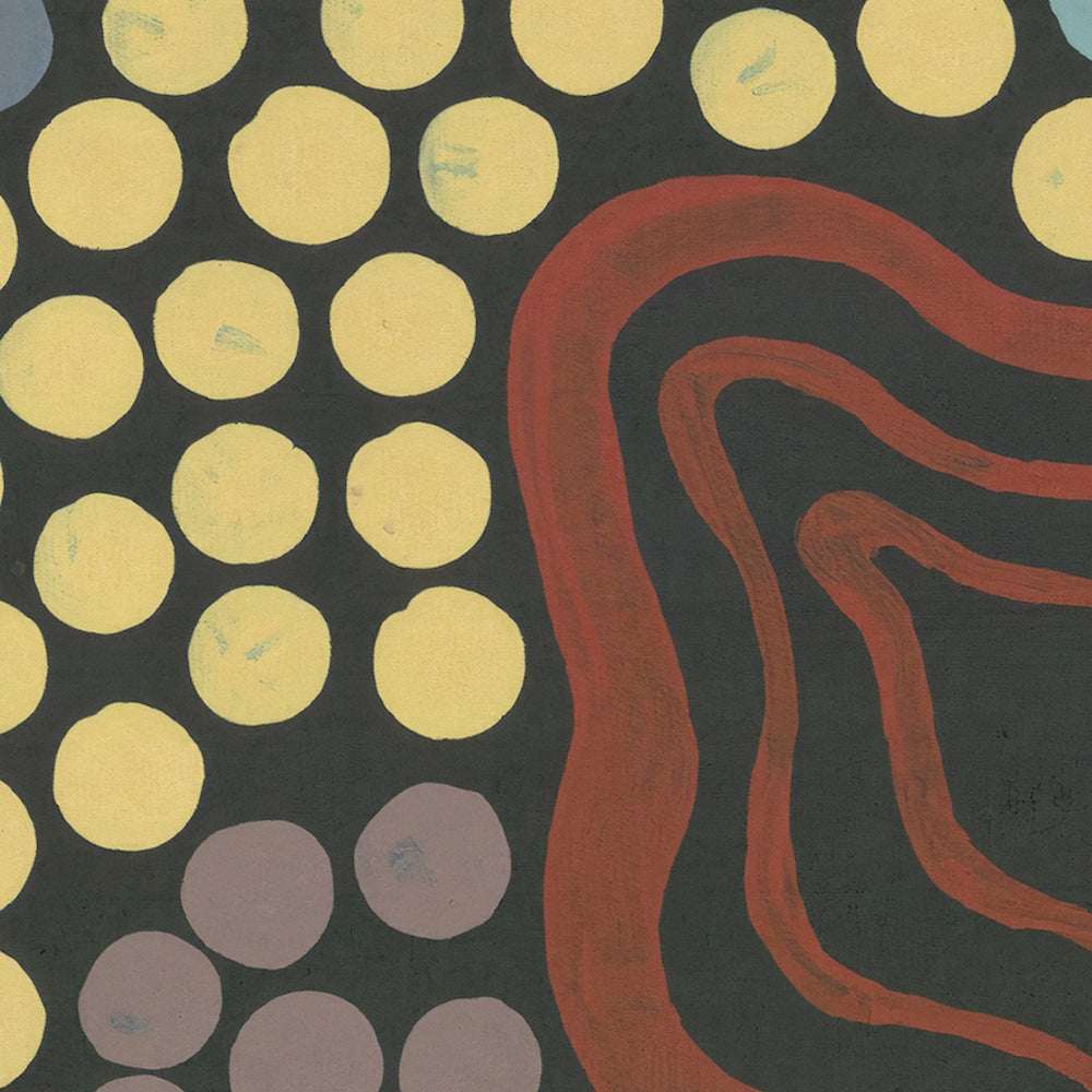 Butterfly Dreaming By Danny Tjampitjinpa Possum Aboriginal Painting Print