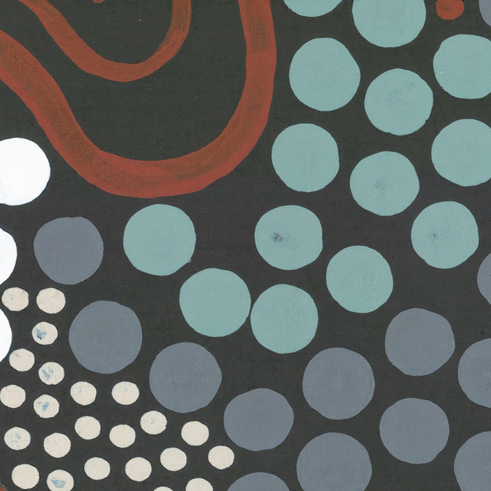 Butterfly Dreaming By Danny Tjampitjinpa Possum Aboriginal Painting Print