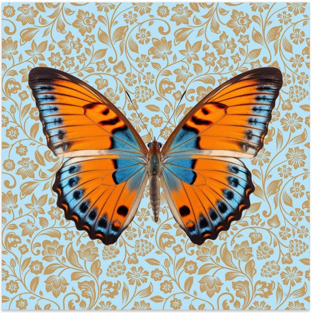 wall-art-print-canvas-poster-framed-Butterfly Orange and Mint , By Sue Skellern-1