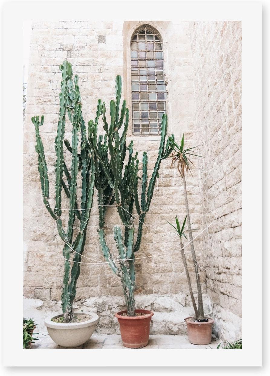 wall-art-print-canvas-poster-framed-Cacti of Puglia, Puglia, Italy , By Carla & Joel Photography-GIOIA-WALL-ART