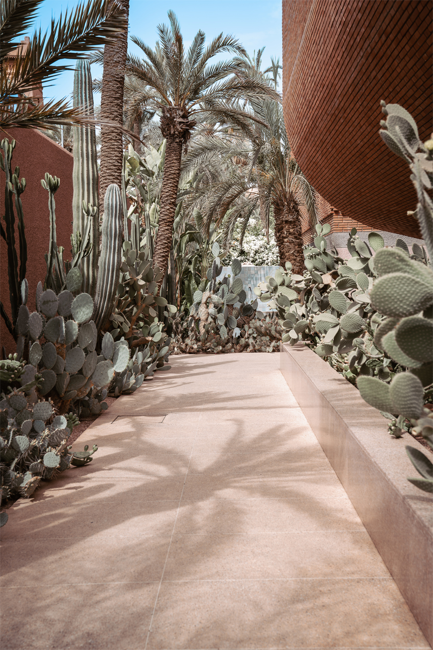 wall-art-print-canvas-poster-framed-Cactus Path , By Josh Silver-1