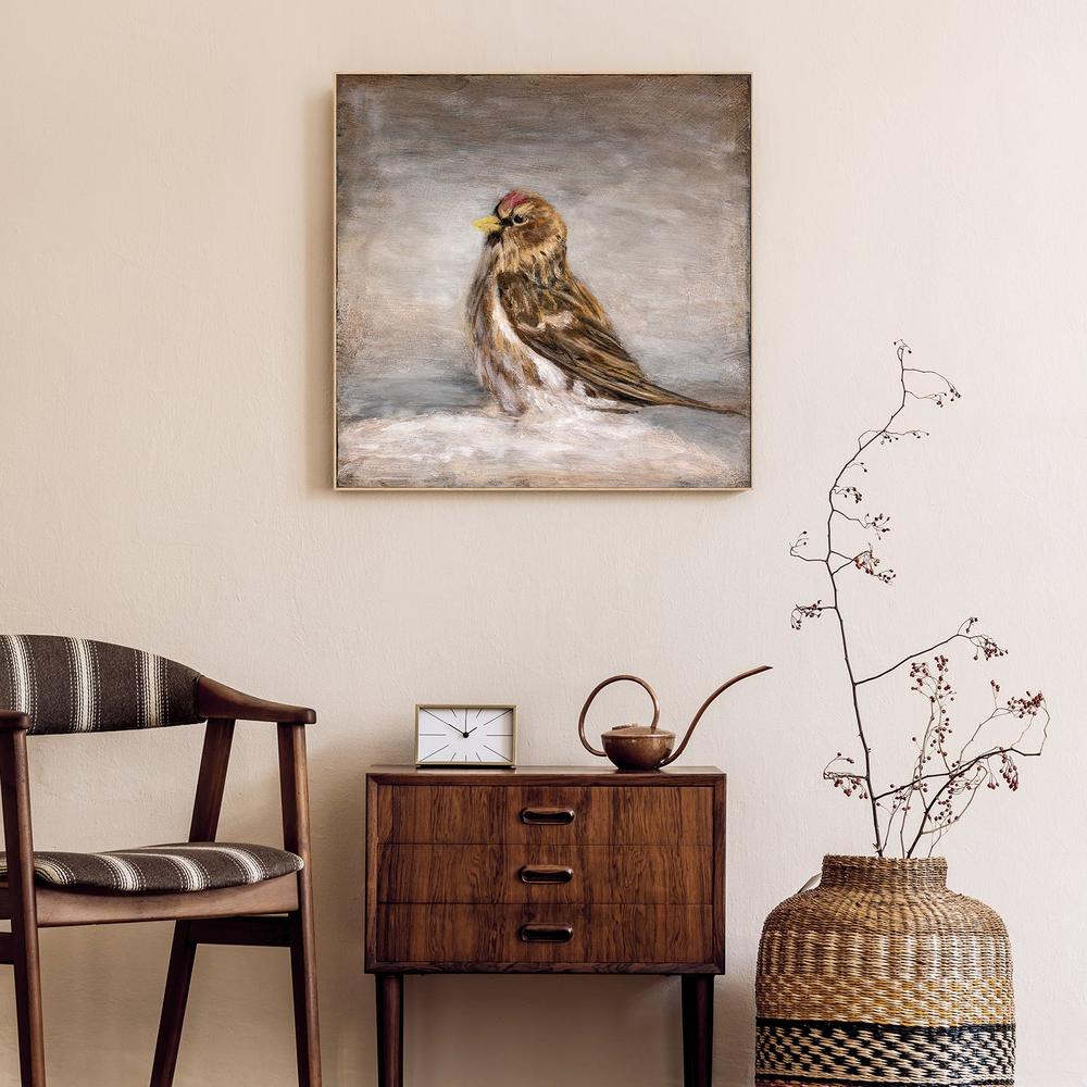wall-art-print-canvas-poster-framed-Calm Winter Redpoll-9