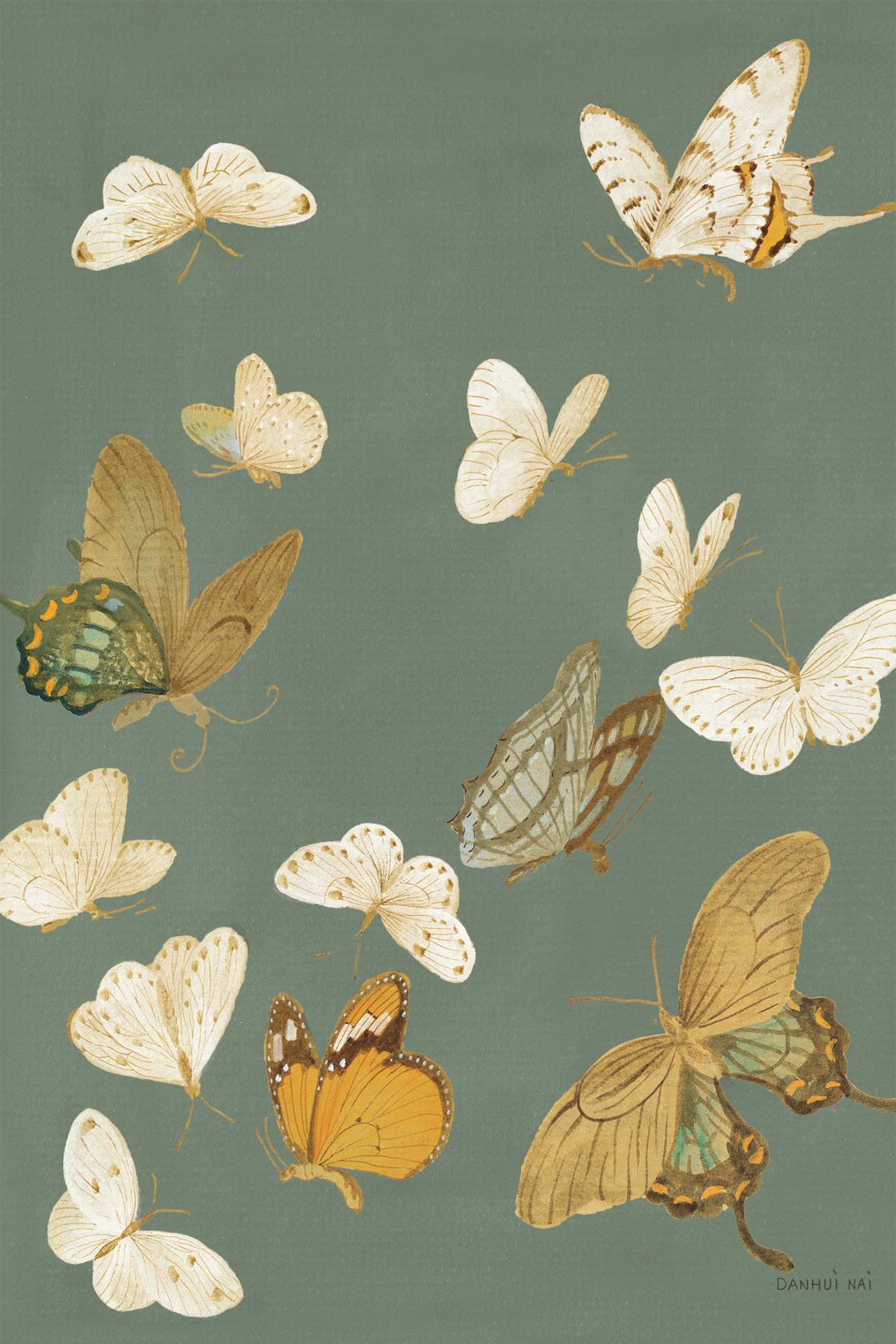 wall-art-print-canvas-poster-framed-Chrysanthemum Butterflies Sage-1