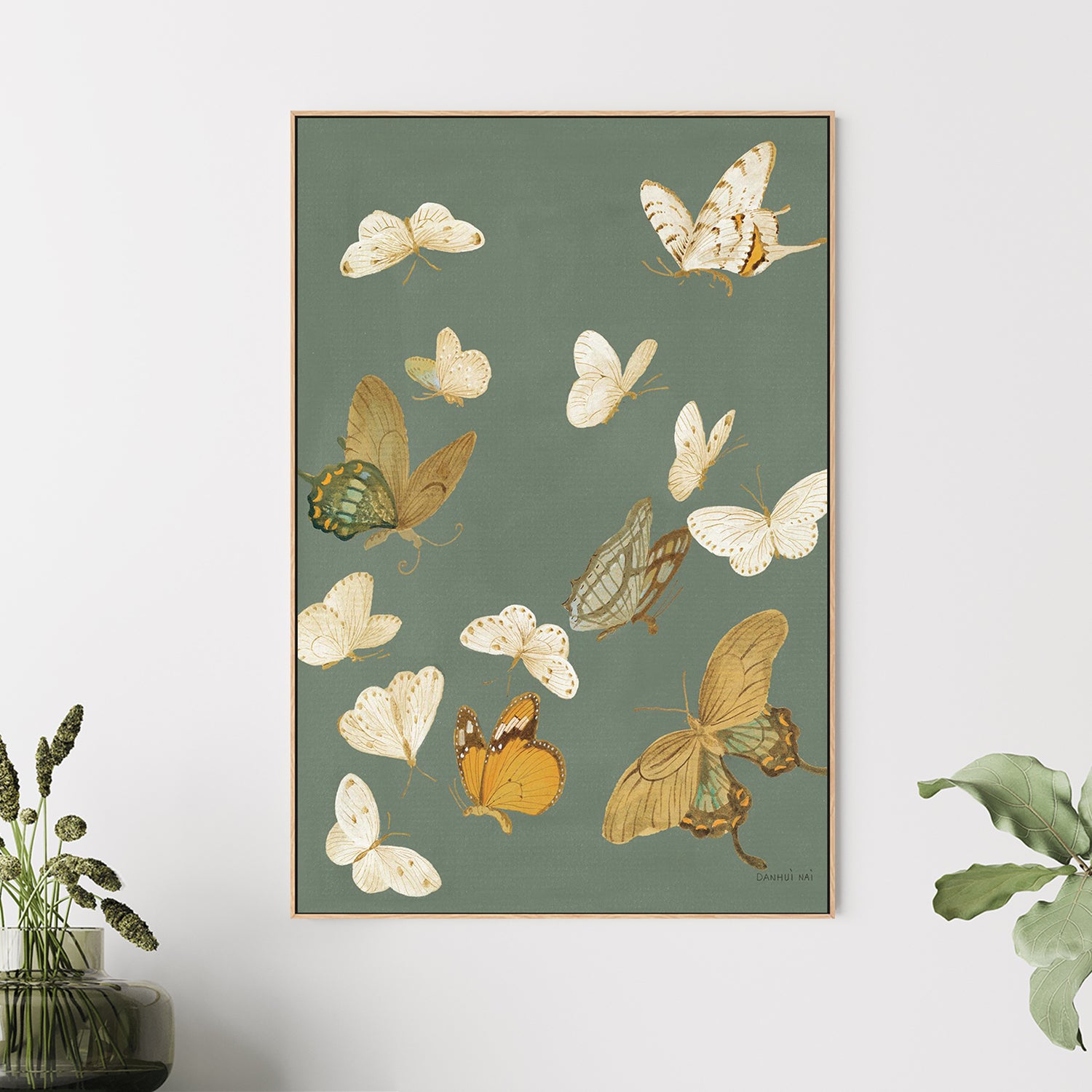 wall-art-print-canvas-poster-framed-Chrysanthemum Butterflies Sage-2