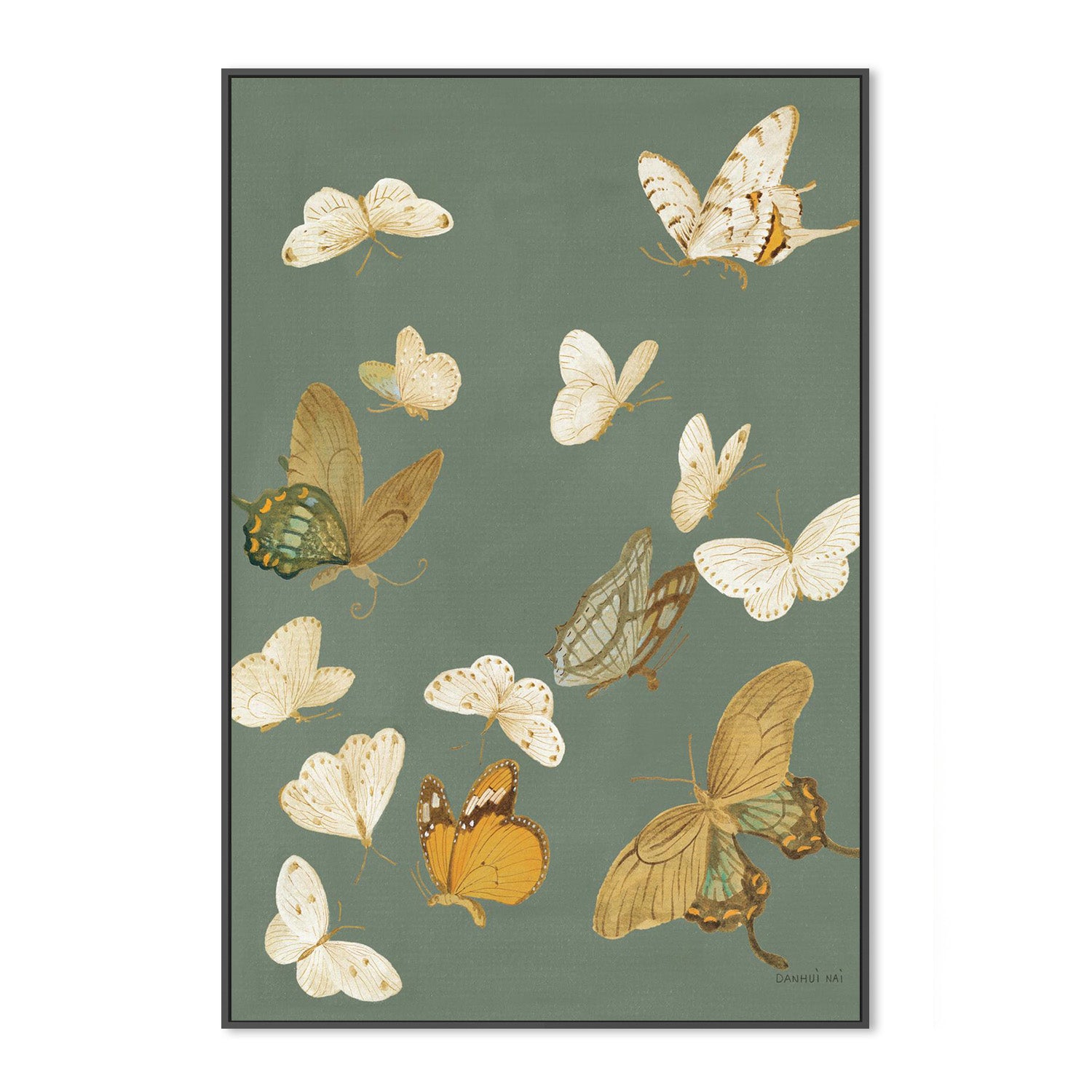 wall-art-print-canvas-poster-framed-Chrysanthemum Butterflies Sage-3
