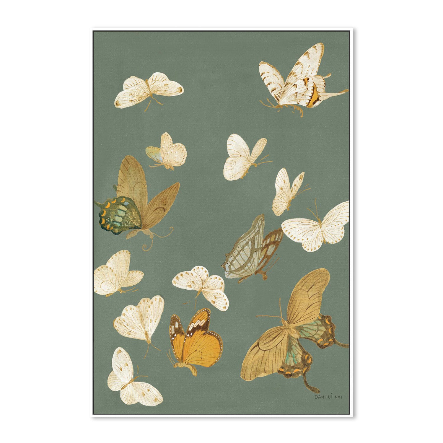 wall-art-print-canvas-poster-framed-Chrysanthemum Butterflies Sage-5