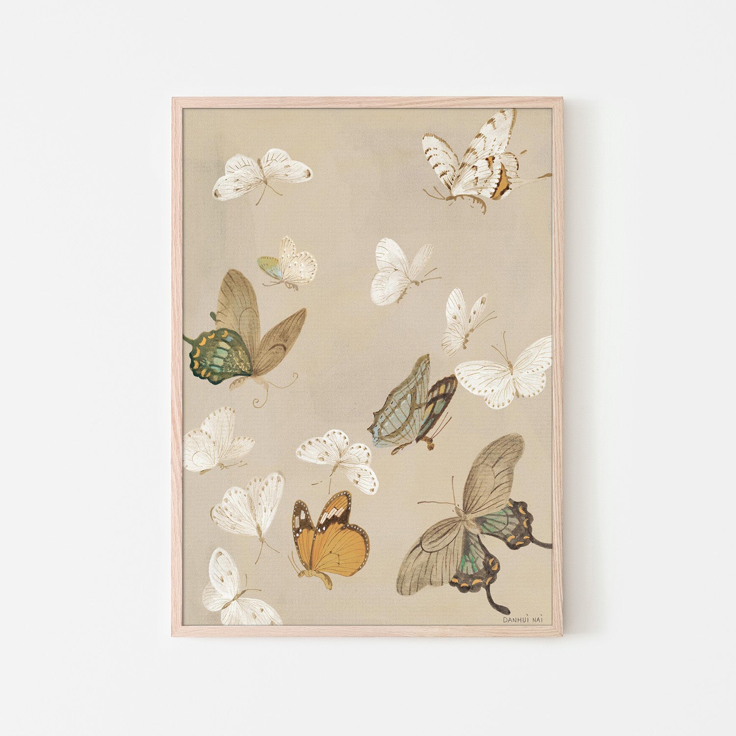 wall-art-print-canvas-poster-framed-Chrysanthemum Butterflies v2-6