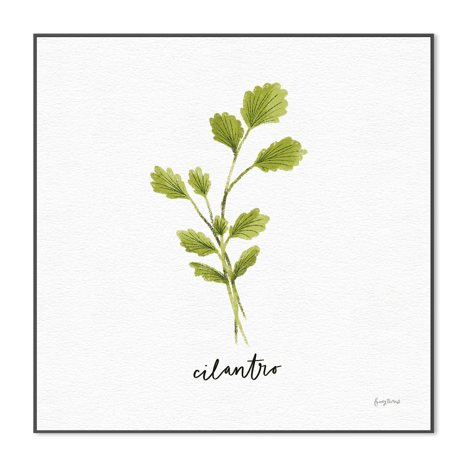 wall-art-print-canvas-poster-framed-Cilantro Herbs White, Style C , By Becky Thorns-3