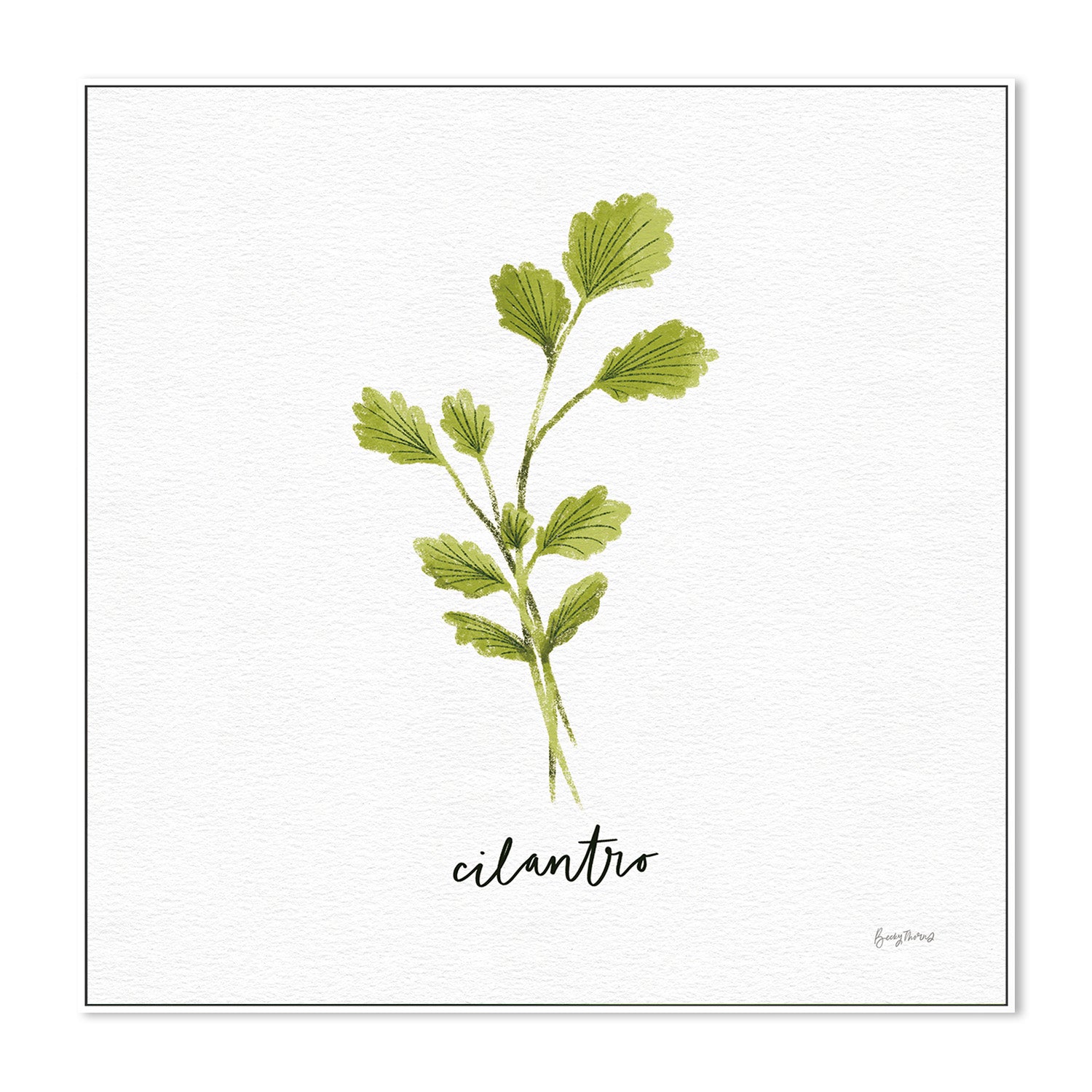 wall-art-print-canvas-poster-framed-Cilantro Herbs White, Style C , By Becky Thorns-5