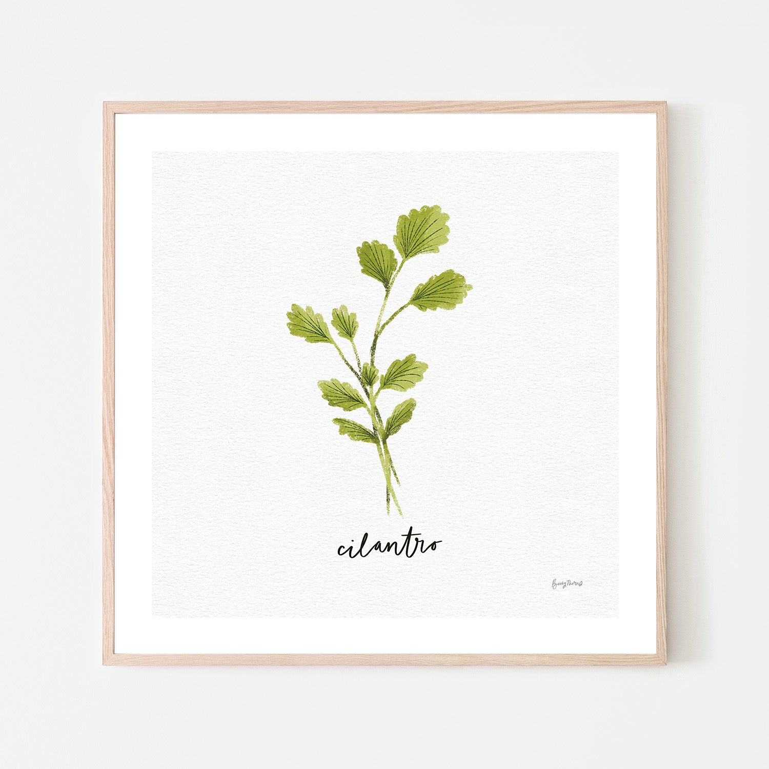 wall-art-print-canvas-poster-framed-Cilantro Herbs White, Style C , By Becky Thorns-6
