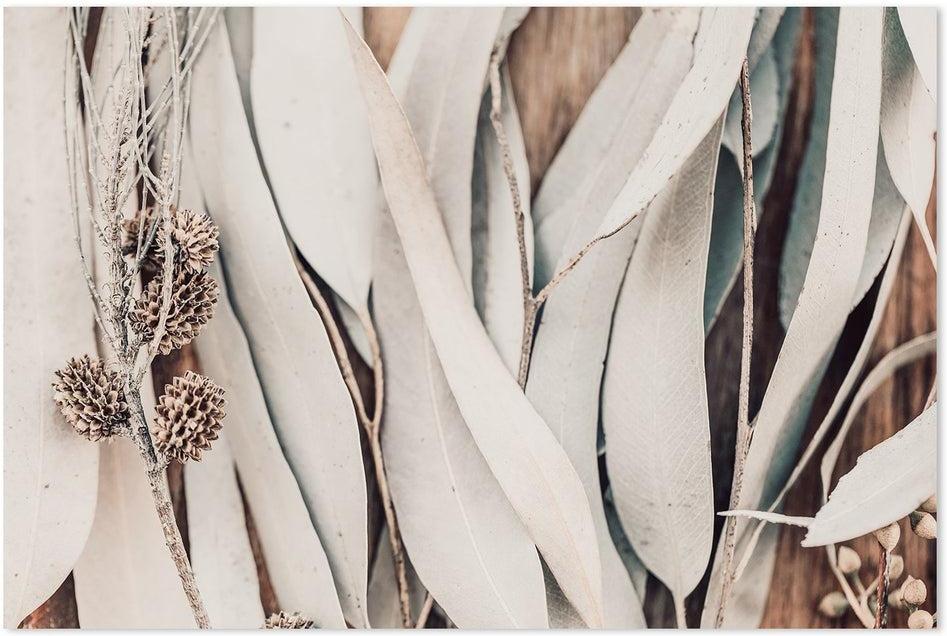 Buy Close Up Eucalyptus Leaves Wall Art Online, Framed Canvas Or Poster
