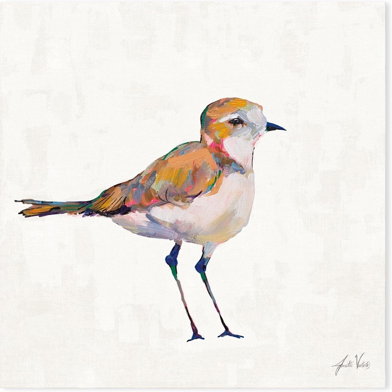 wall-art-print-canvas-poster-framed-Coastal Plover Linen, Style C-by-Jeanette Vertentes-Gioia Wall Art