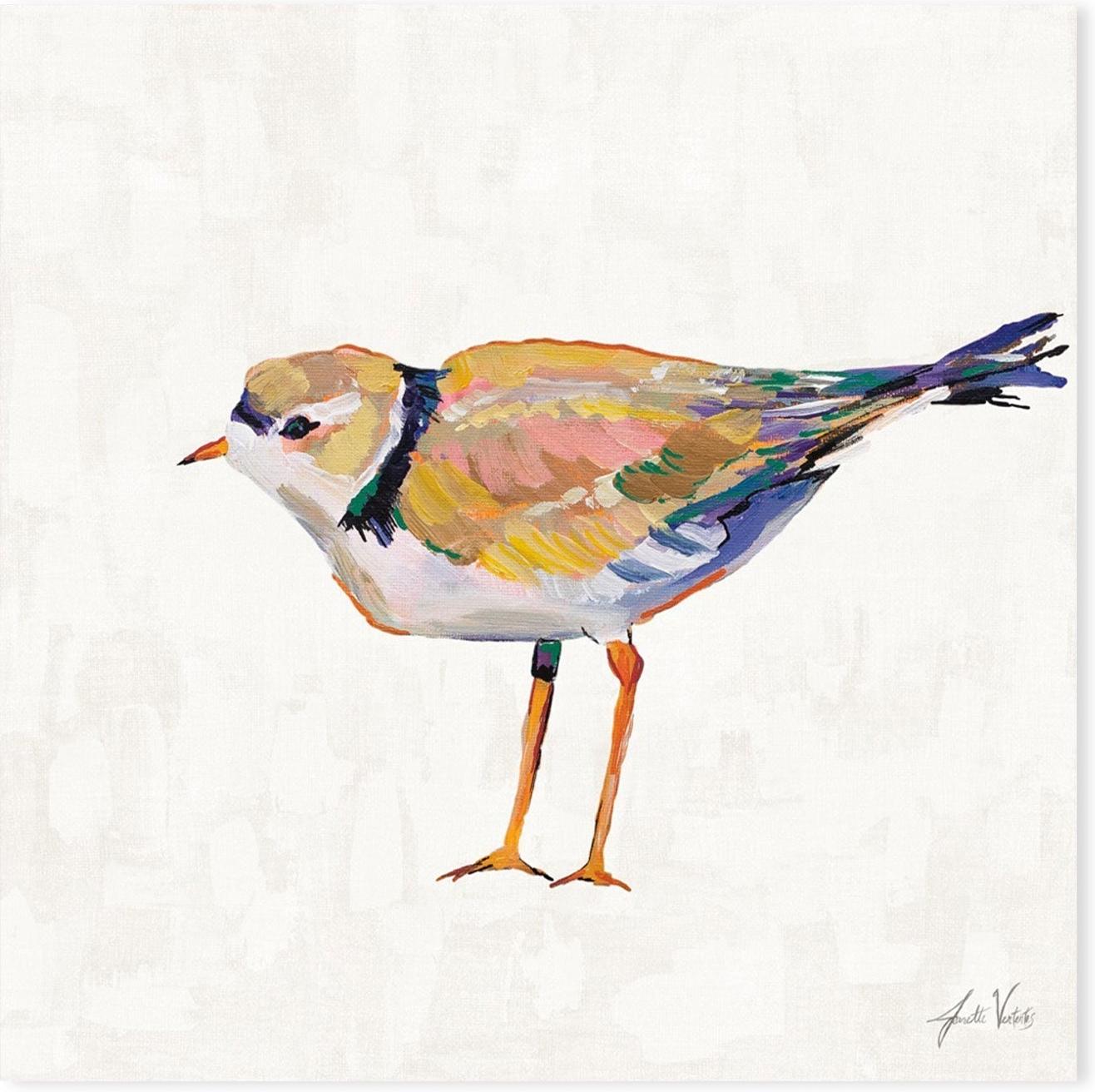 wall-art-print-canvas-poster-framed-Coastal Plover Linen, Style D-by-Jeanette Vertentes-Gioia Wall Art