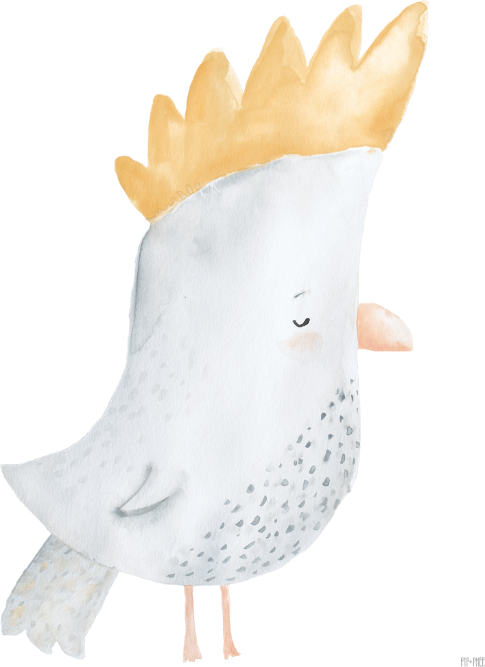 wall-art-print-canvas-poster-framed-Cockatoo Critter Print White , By Pip and Phee-1