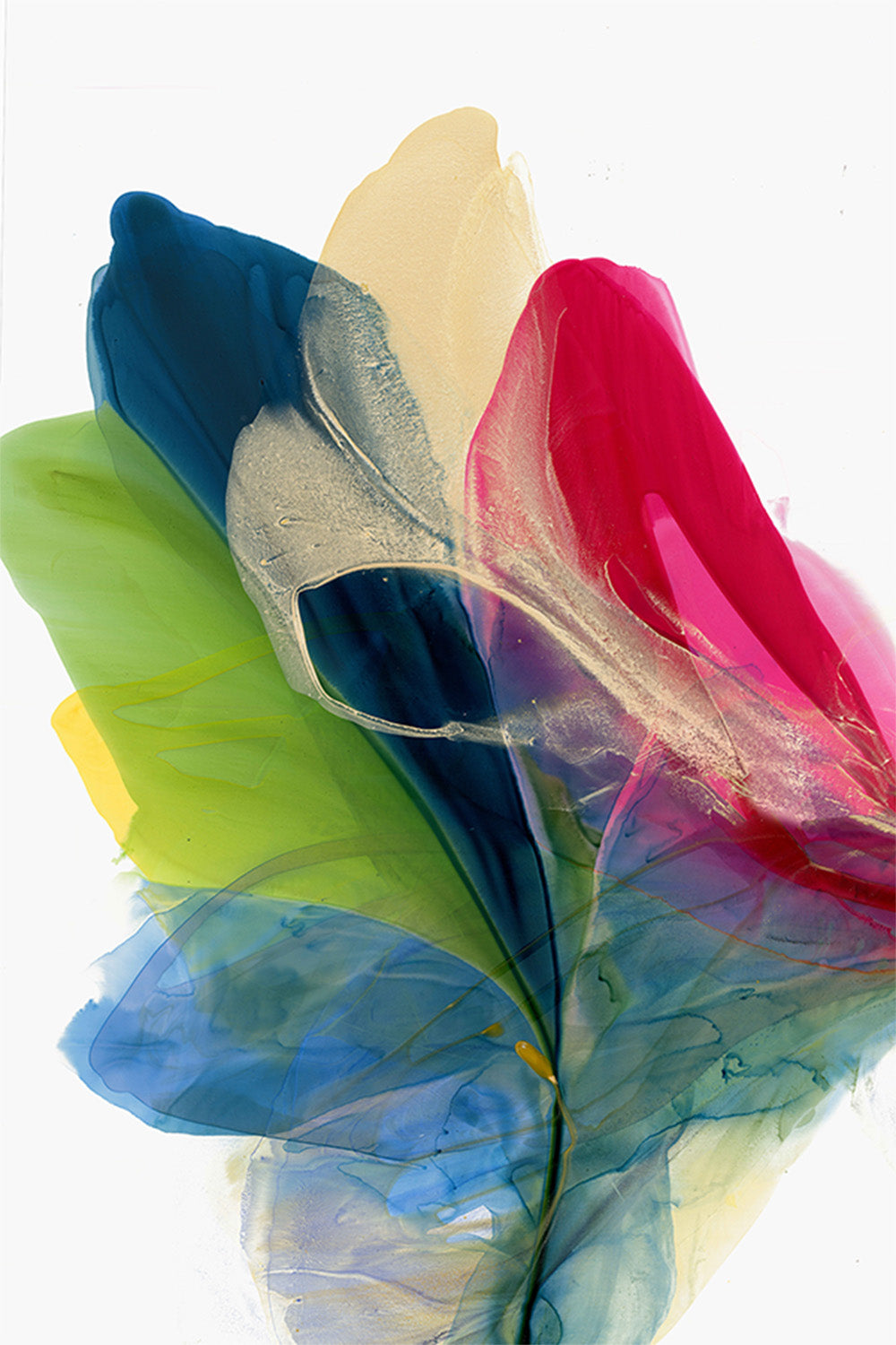 wall-art-print-canvas-poster-framed-Colorful Petals in Motion-1