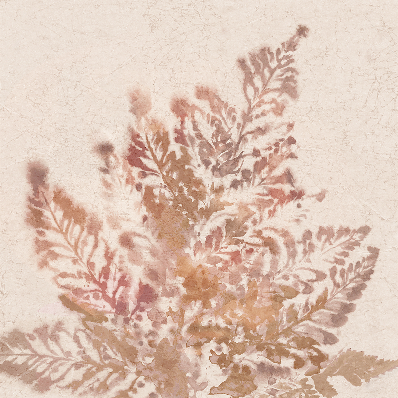 wall-art-print-canvas-poster-framed-Coral Fern, Style A , By Alex Black-1