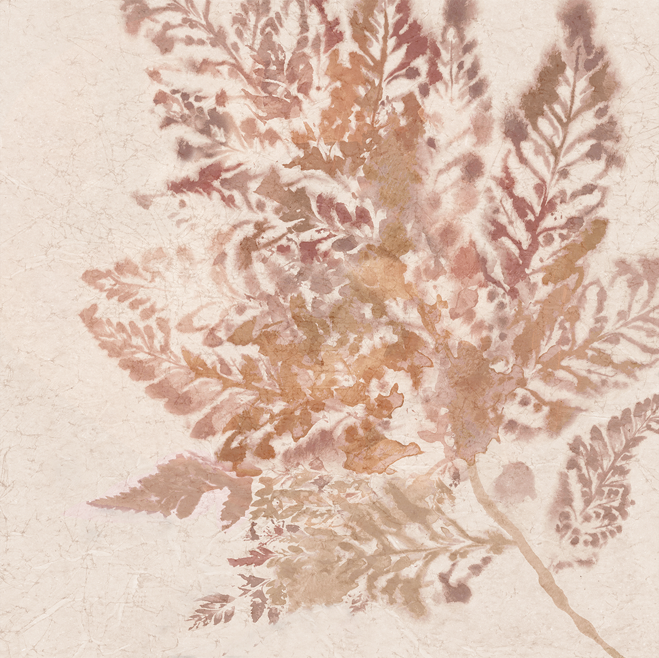 wall-art-print-canvas-poster-framed-Coral Fern, Style B , By Alex Black-1