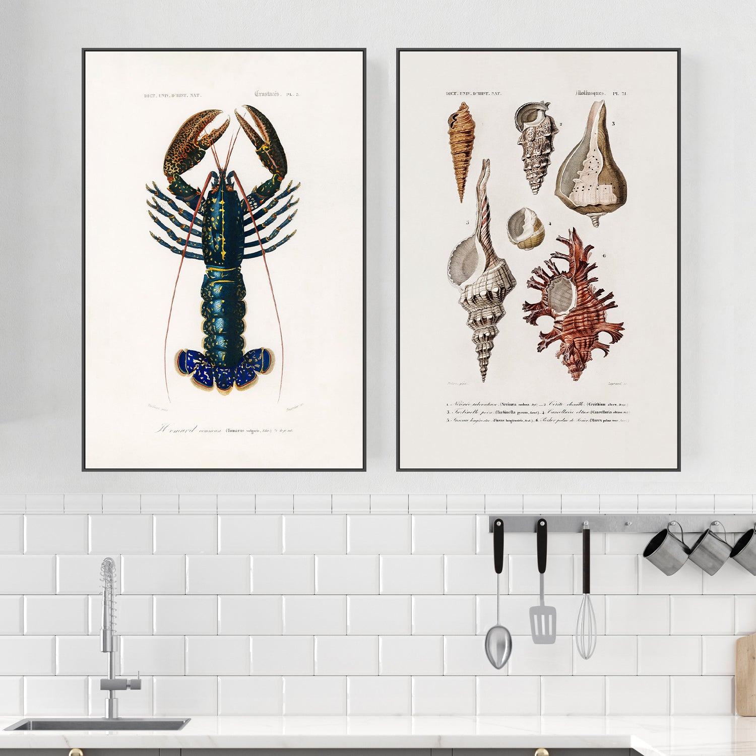 wall-art-print-canvas-poster-framed-Crimson Crawfish & Sealife, Set Of 2-2