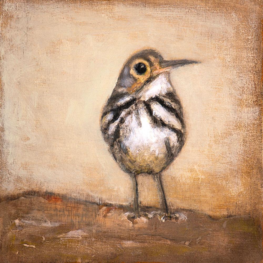 wall-art-print-canvas-poster-framed-Curious Little Bird-1