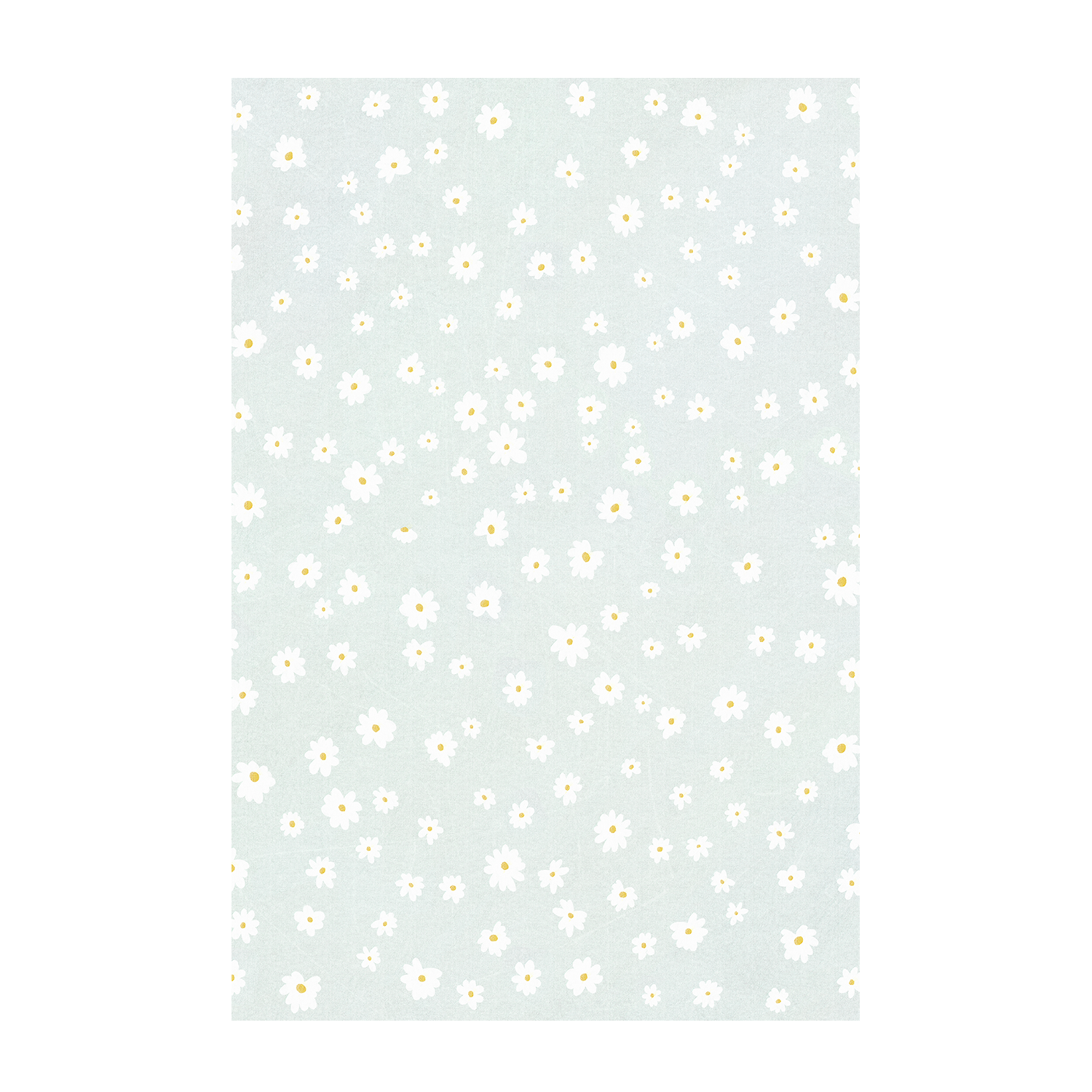 wall-art-print-canvas-poster-framed-Daisies and Swan, Set Of 2 , By Leah Straatsma-7